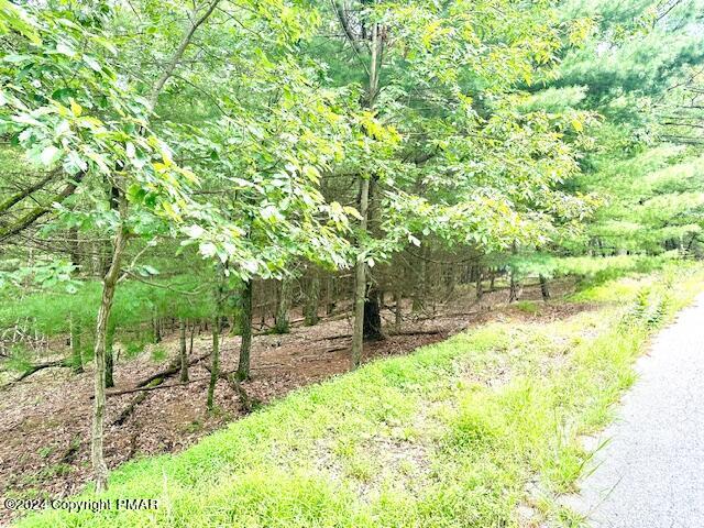 Lot 508 Tannebaum Way
