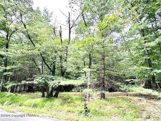 Lot 508 Tannebaum Way