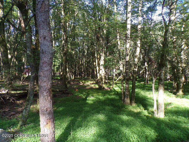 Lot 709A Wintergreen Trail