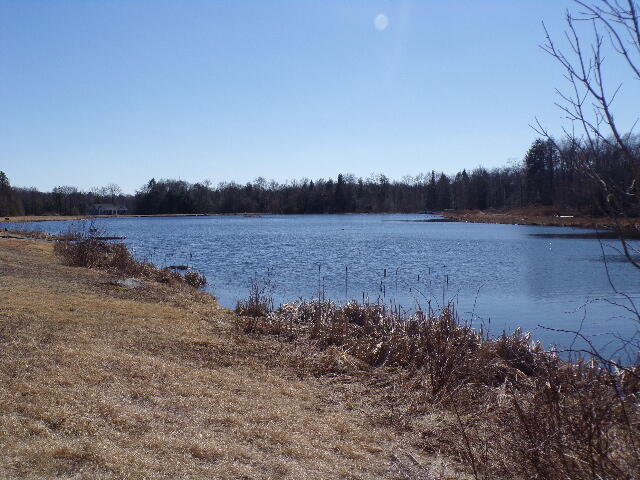 Lot 21 Covington Lake Drive N