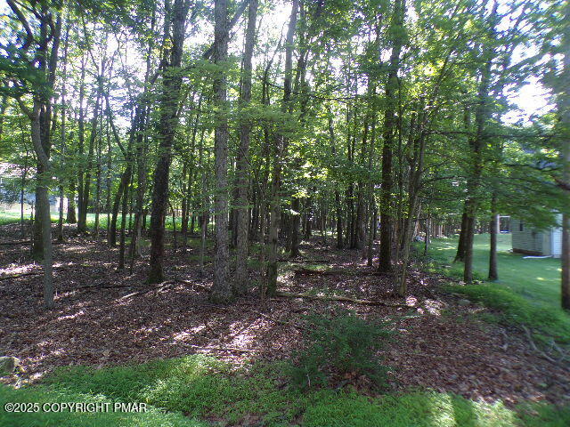 LIII712 Juniper Lane