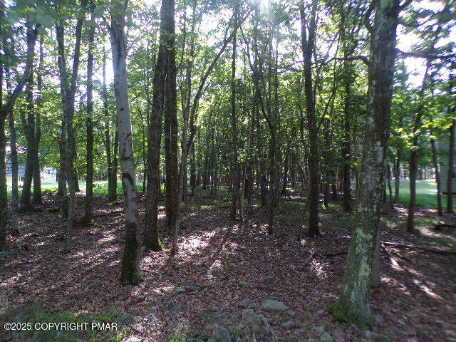 LIII712 Juniper Lane