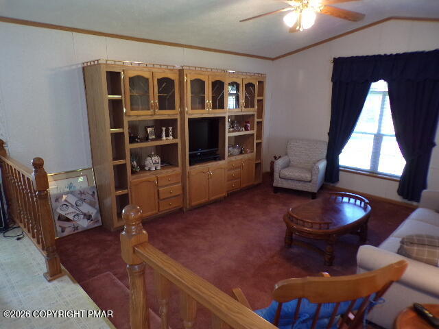 141 Gold Lane