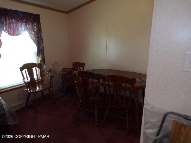 141 Gold Lane