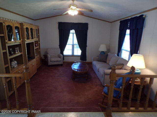 141 Gold Lane
