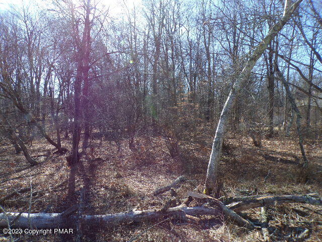 Lot 159 King Arthur Road