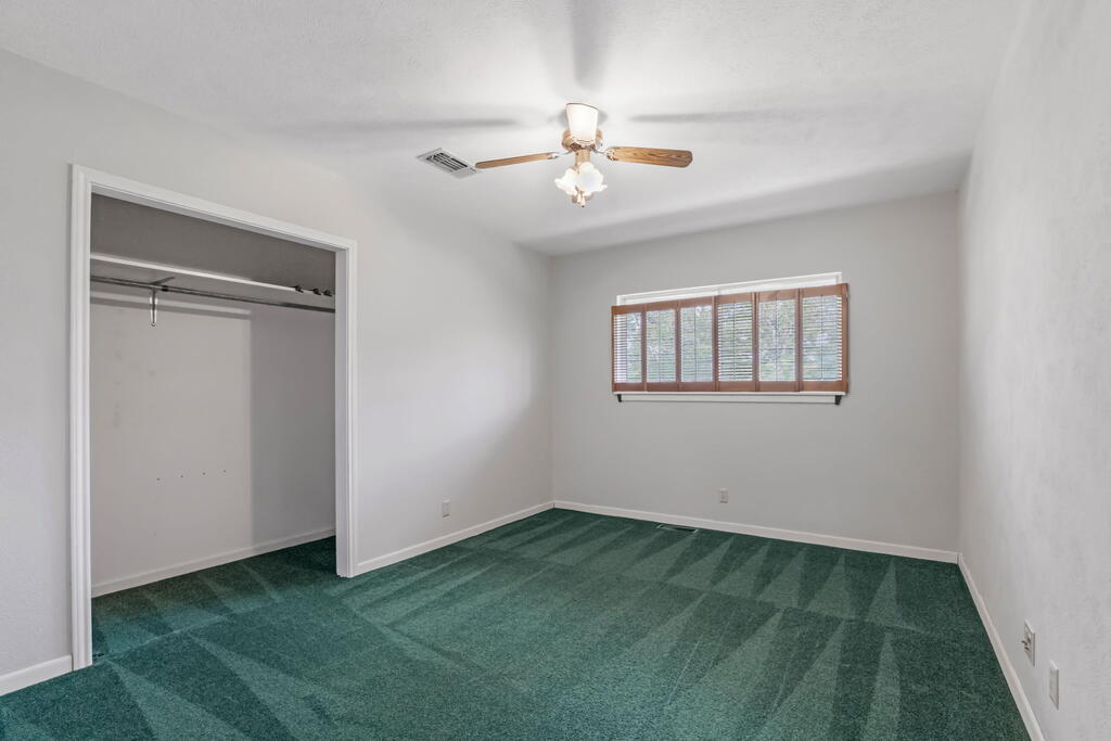 Empty bedroom with green carpet, an open closet, and a window with wooden blinds.