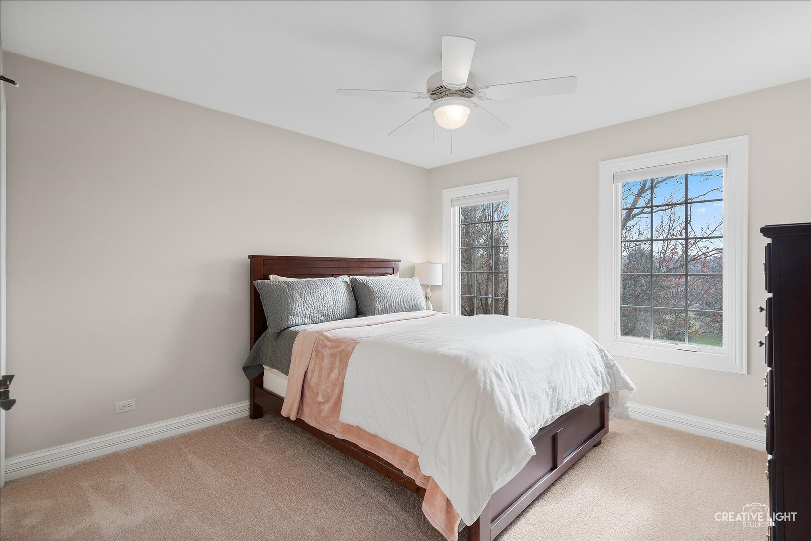 3N736 James Fenimore Cooper Lane