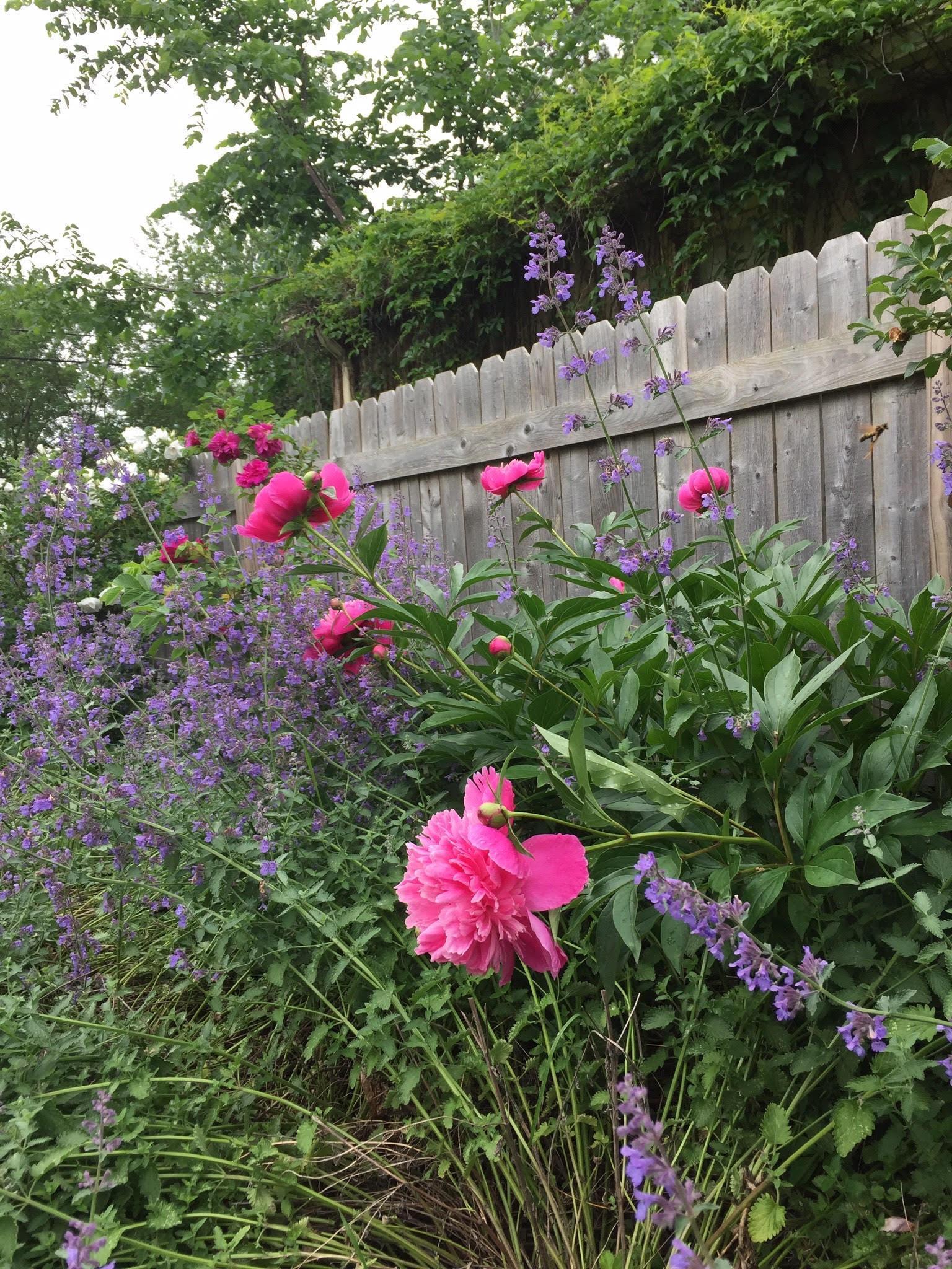 946 Grandview Avenue W