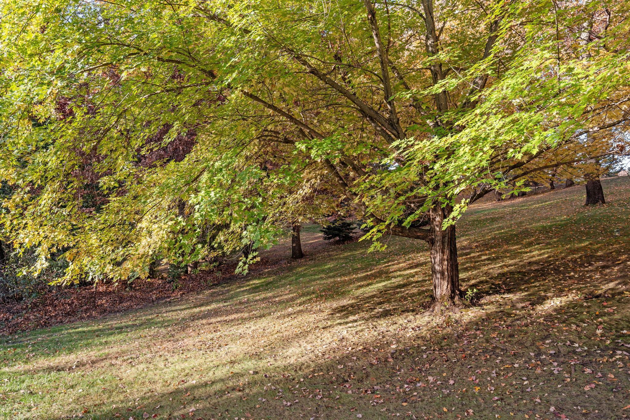 20991 Fresno Street NW