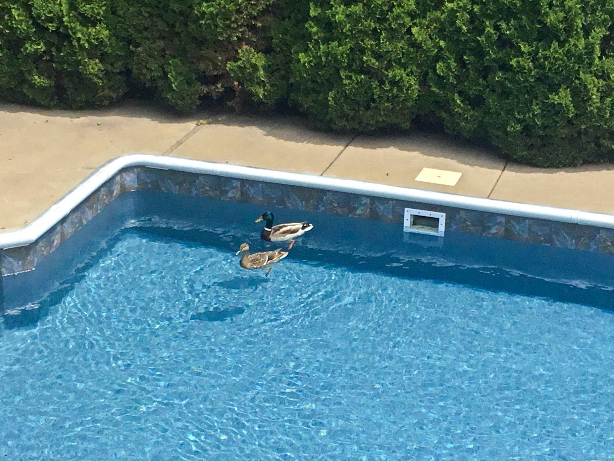 4890 Cottonwood Lane N