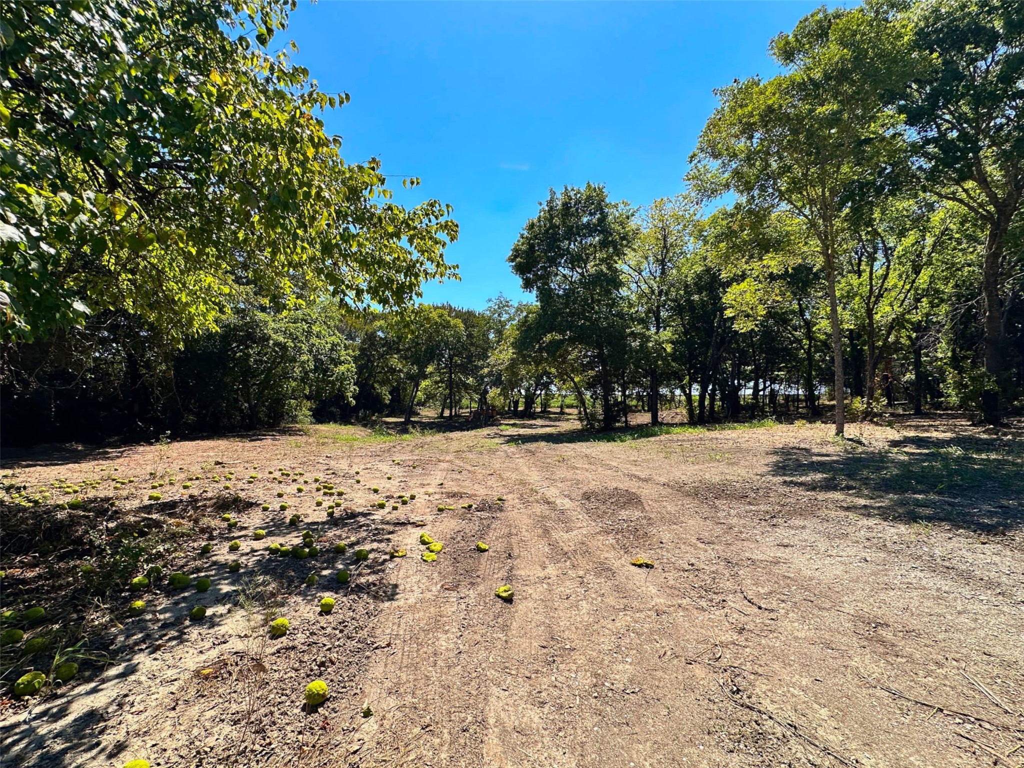 8030 County Road 528