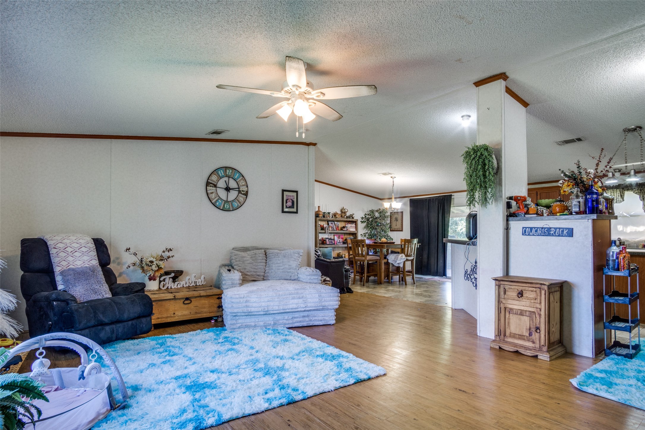 1537 Wild Horse Lane