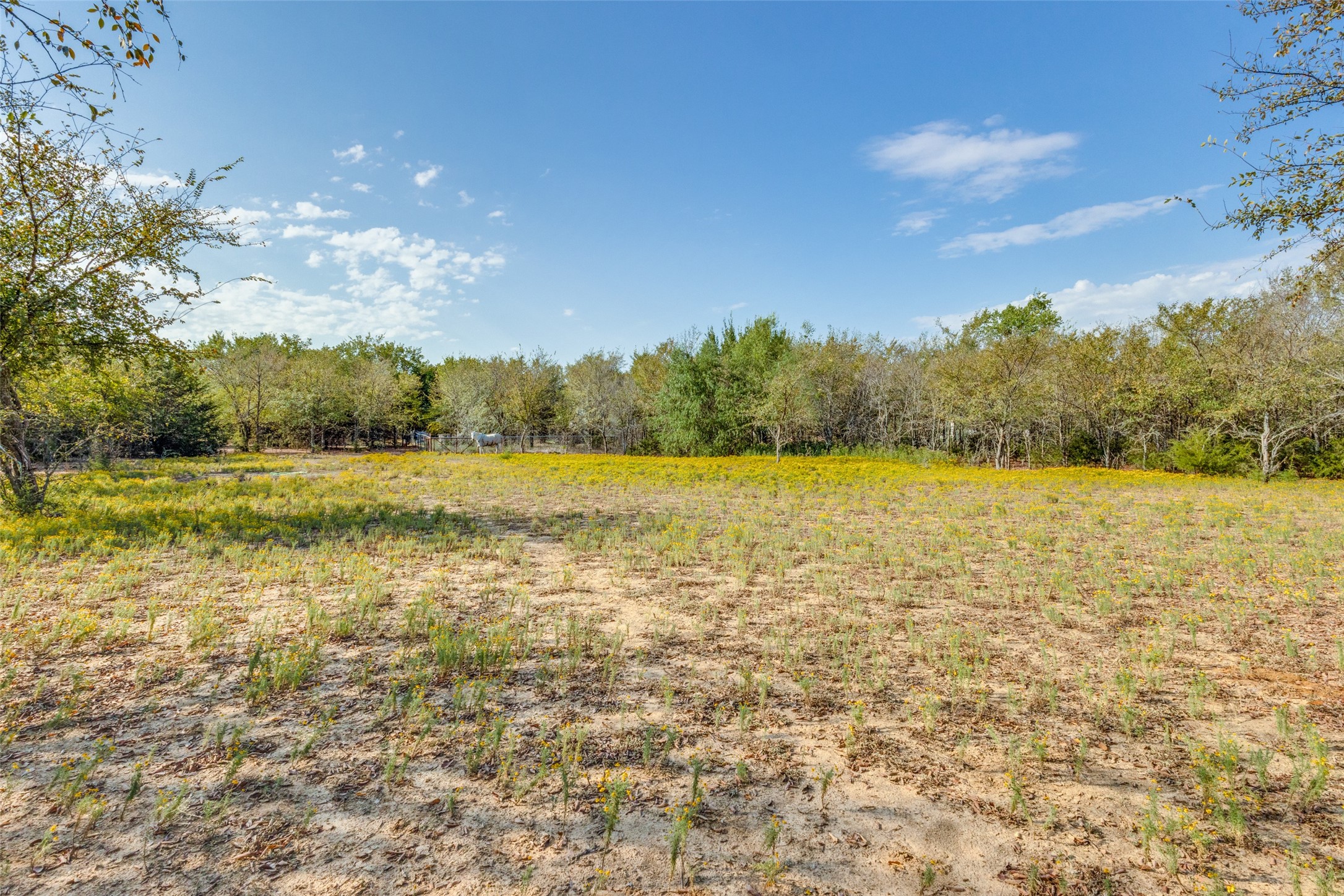3211 County Road 114