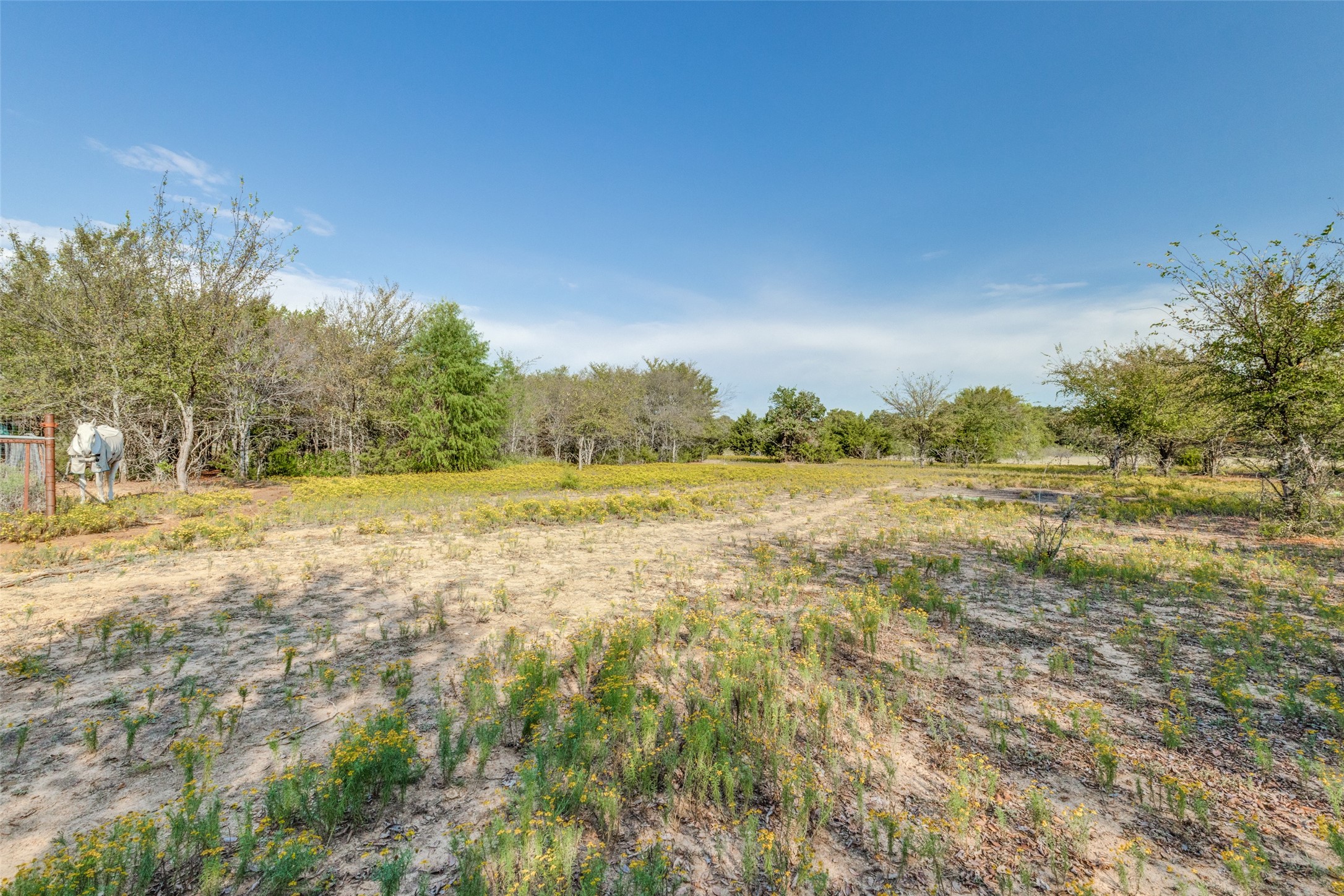3211 County Road 114