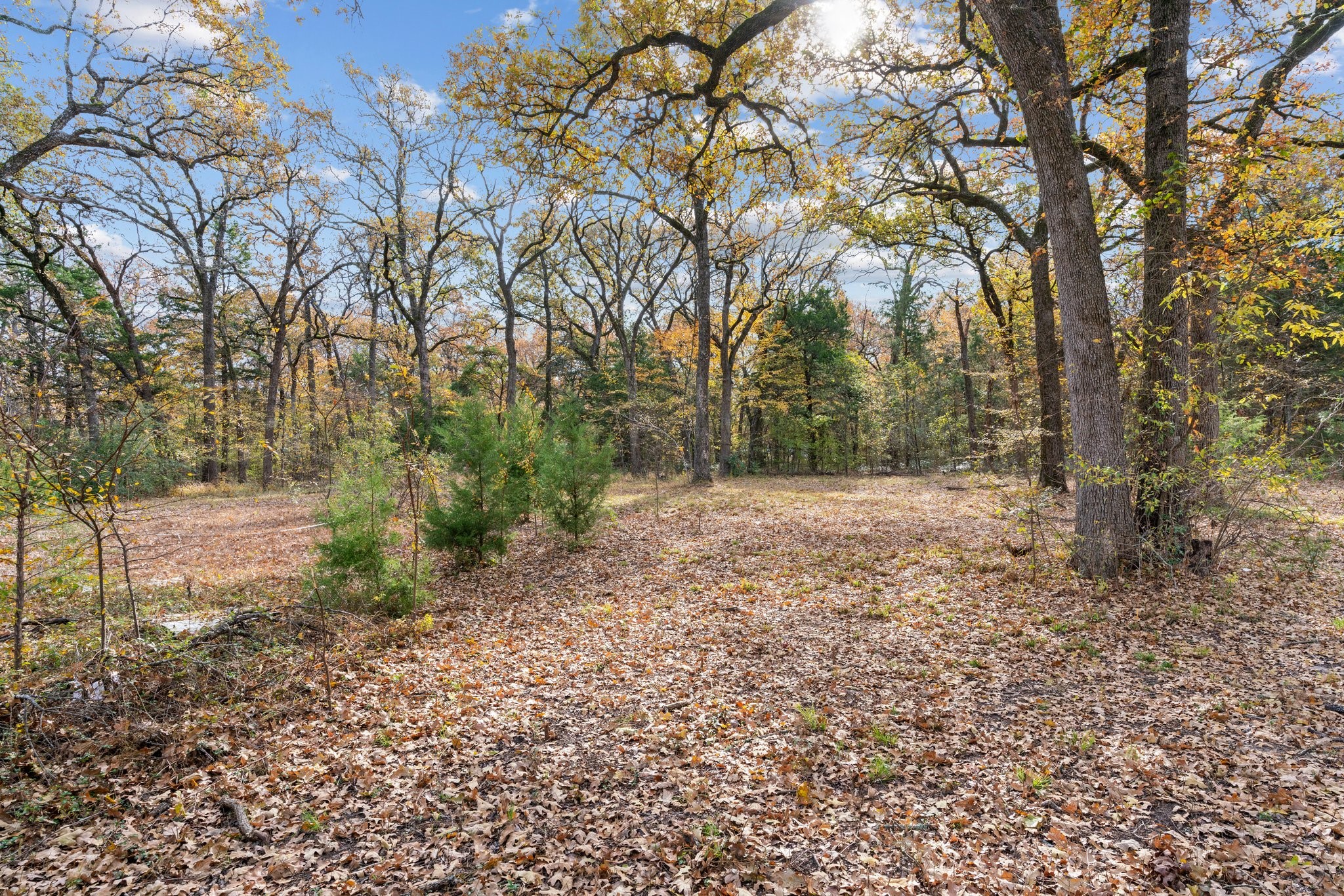 1101 County Road 2405
