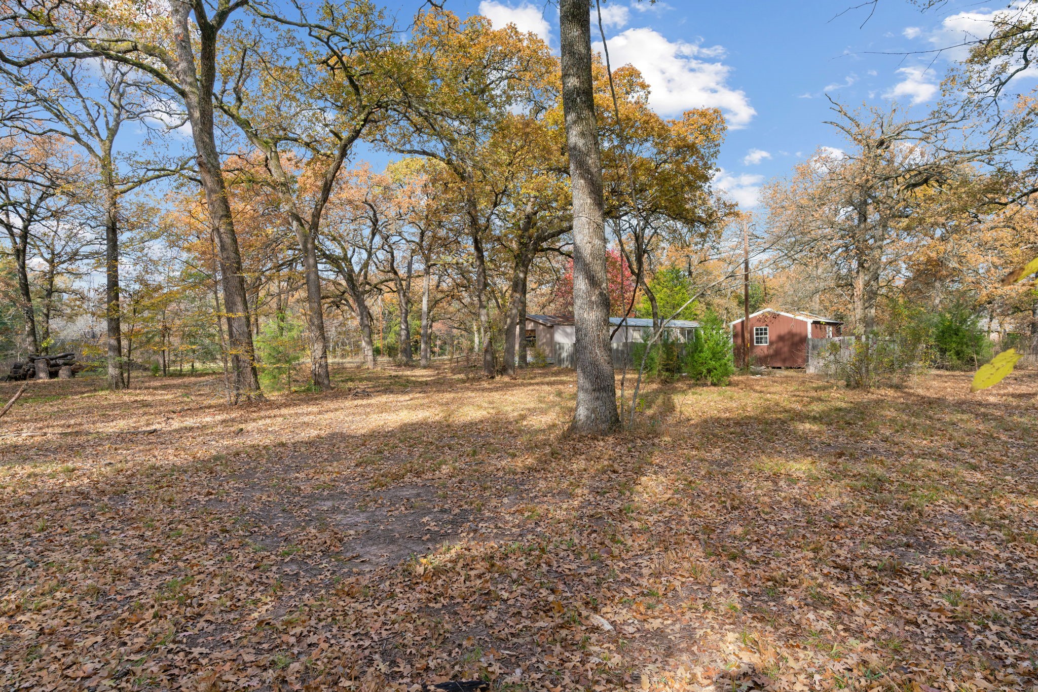 1101 County Road 2405