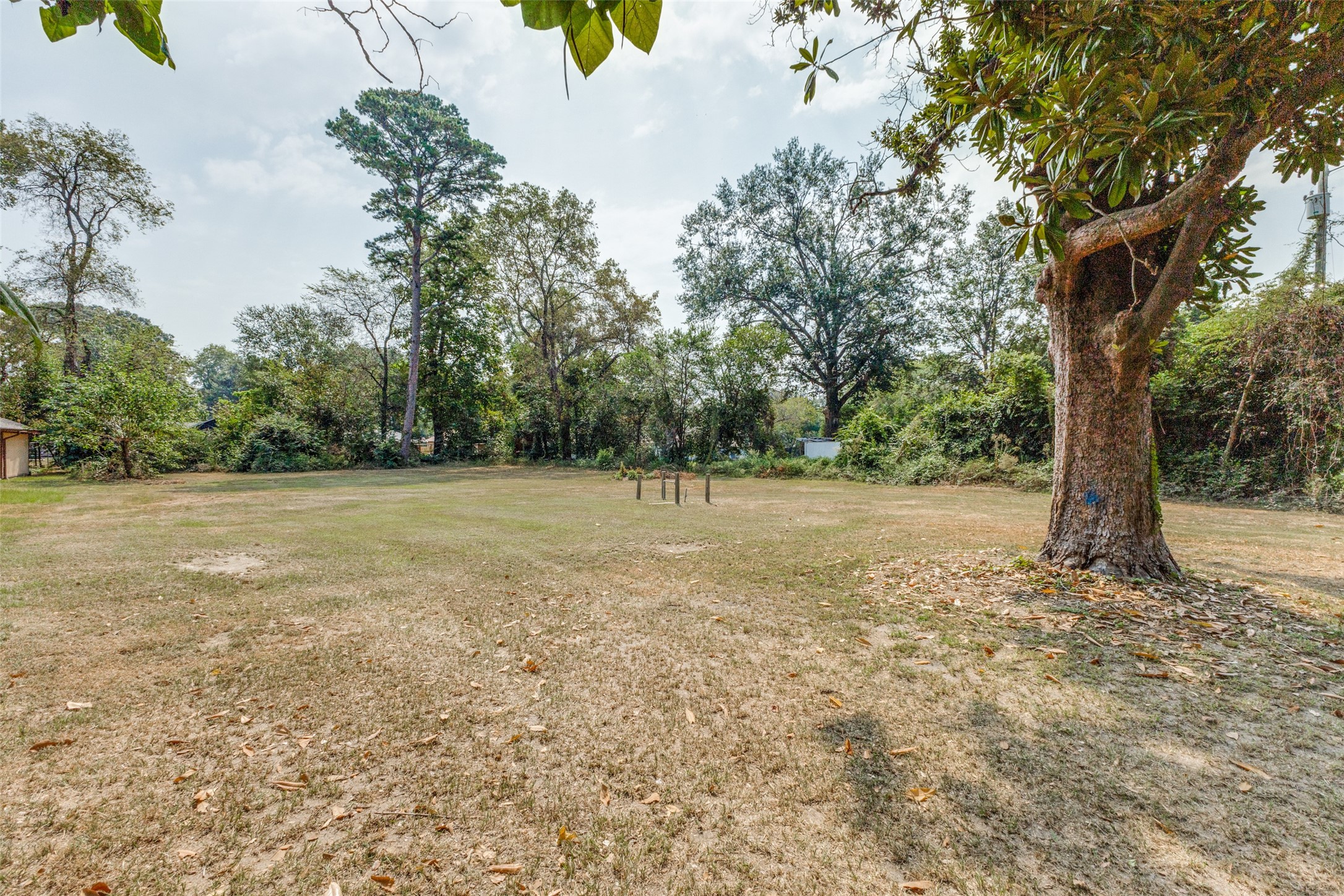 611 Red Springs Avenue