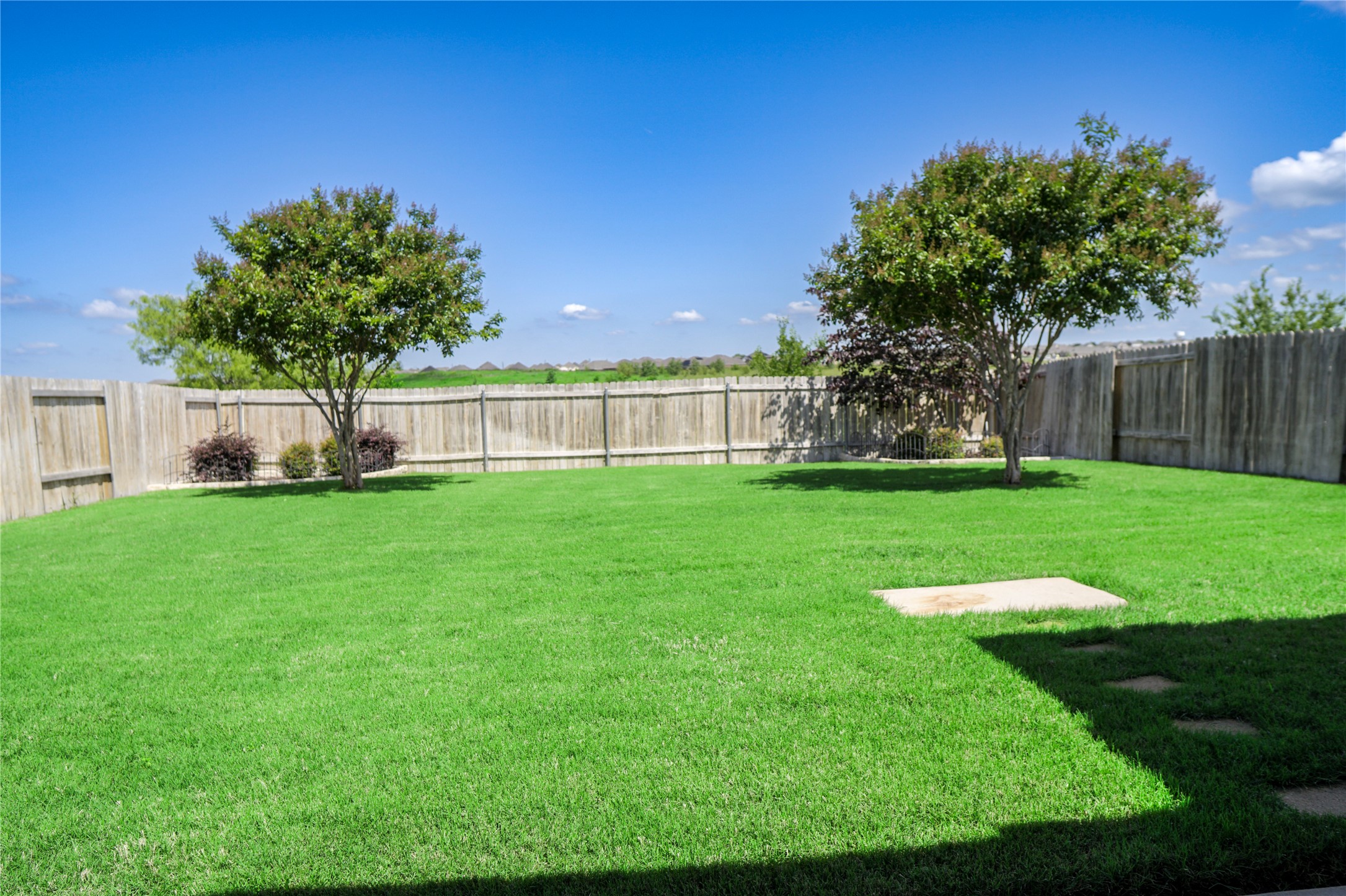 2122 Bluebell