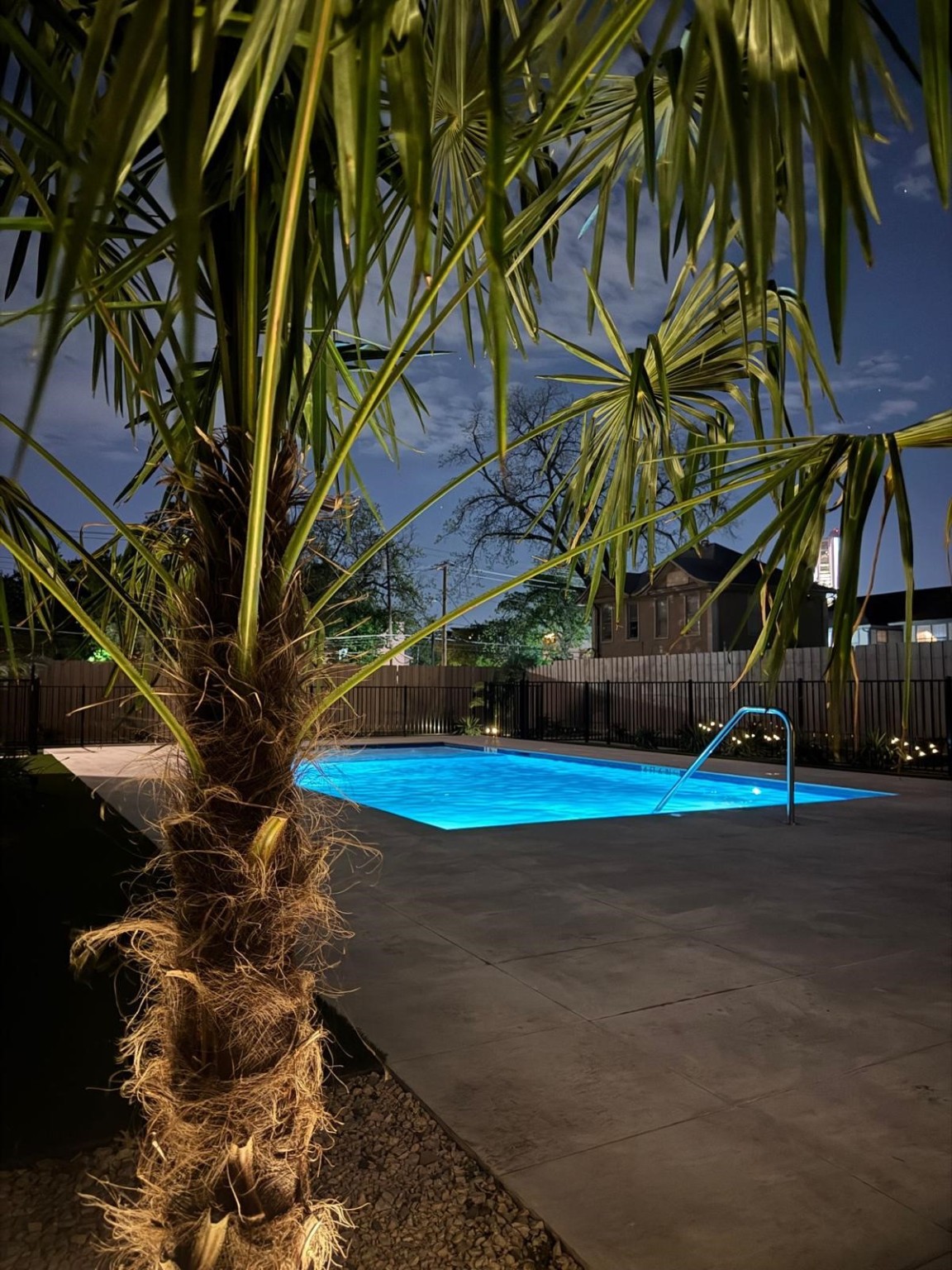 1902 N Carroll Avenue 101