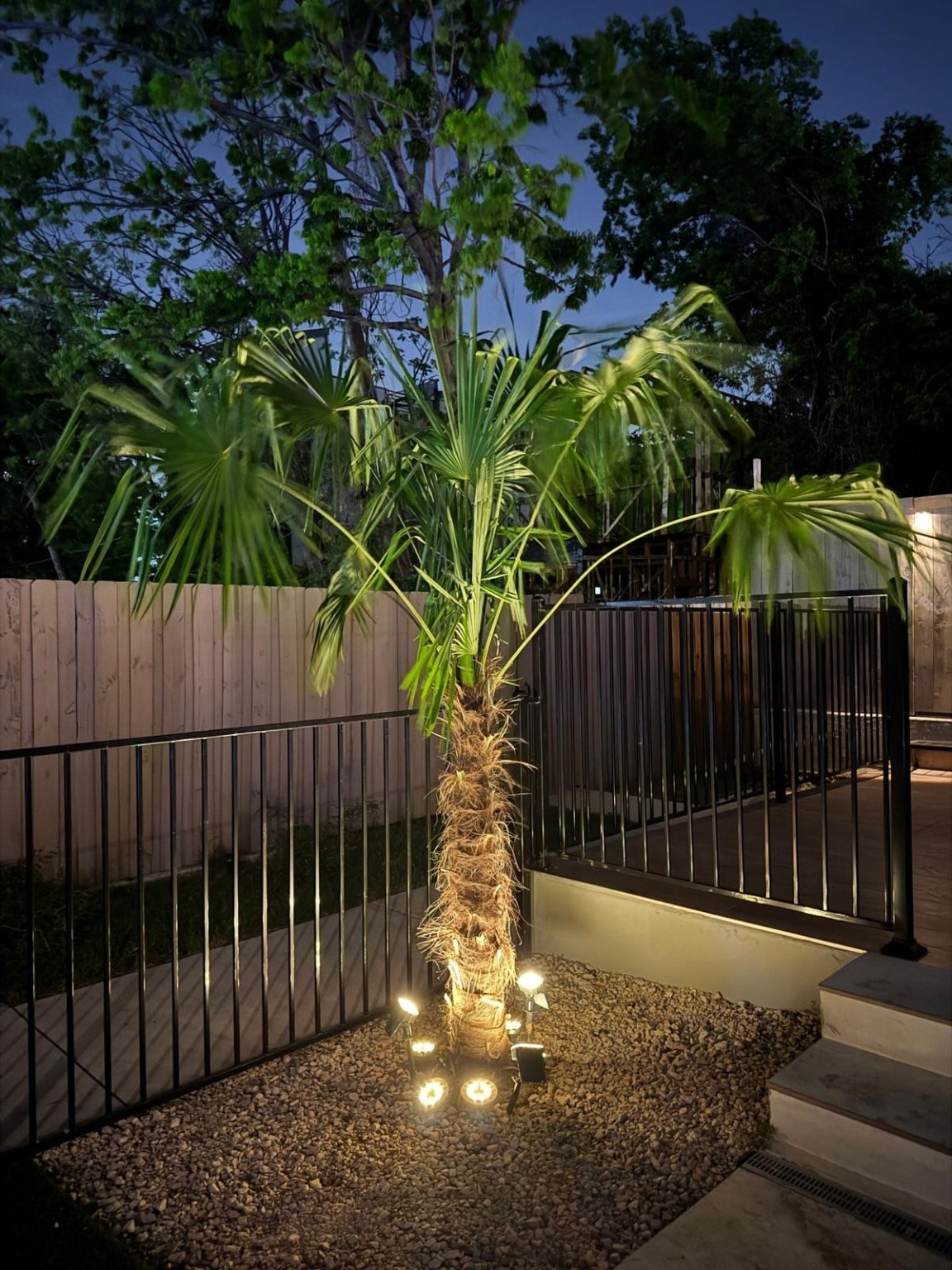 1902 N Carroll Avenue 101