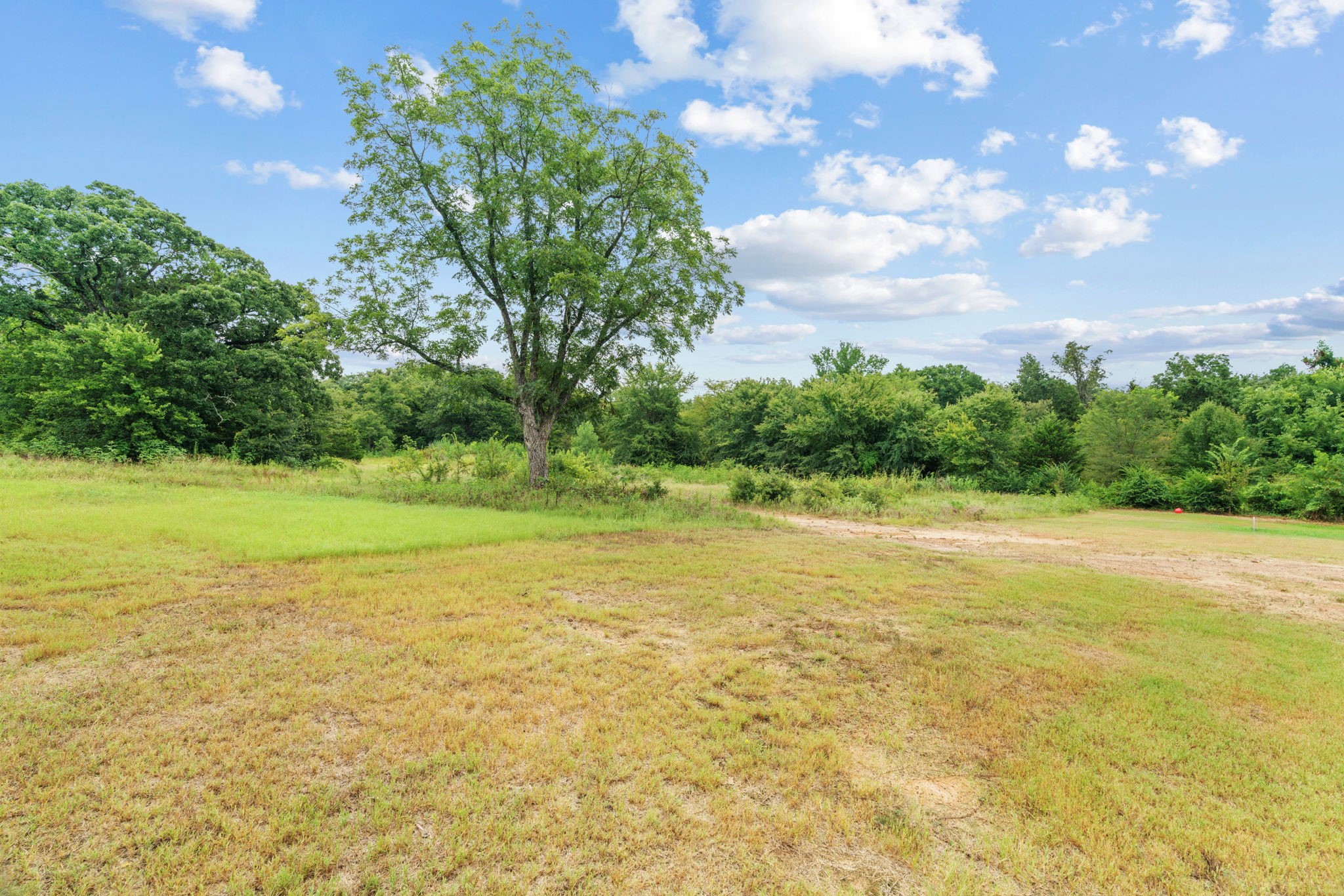 1337 County Road 211