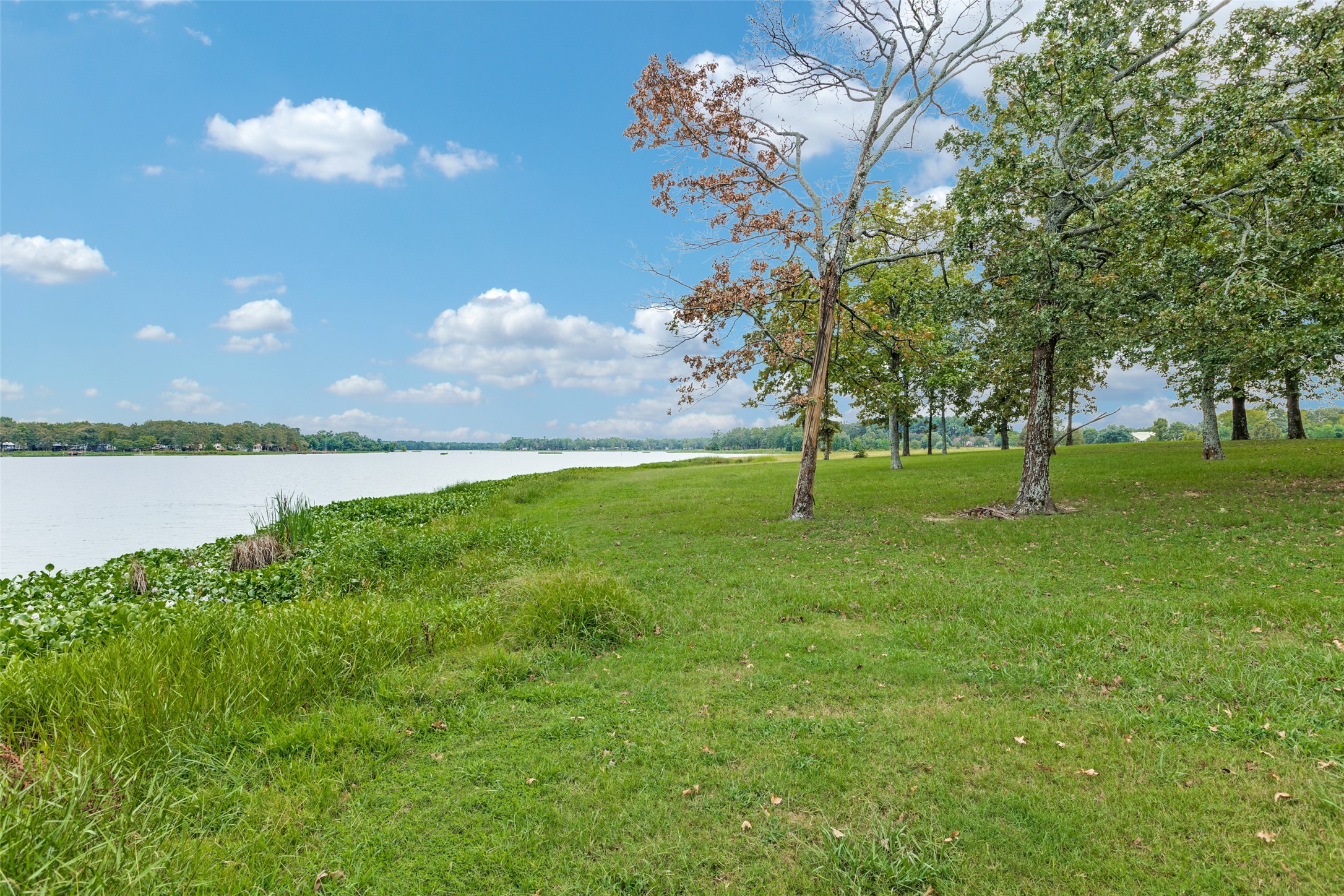 779 County Road 1971