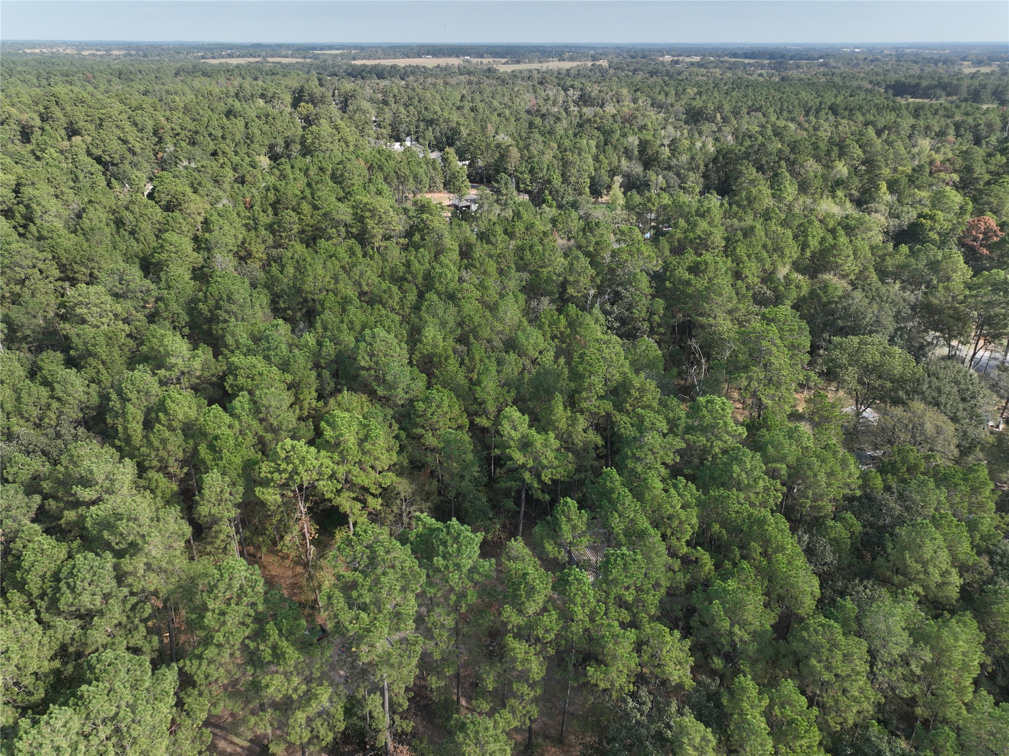 TBD Tallowood Drive
