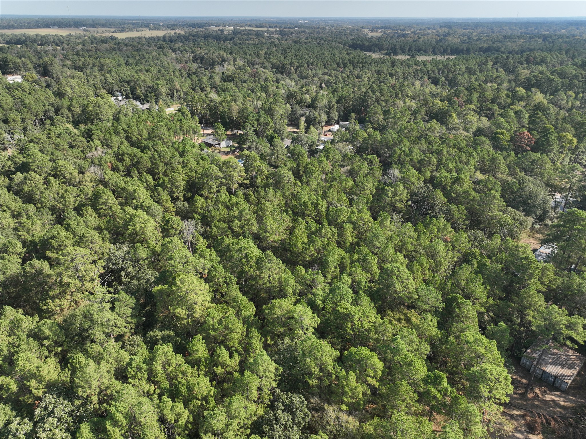 TBD Tallowood Drive