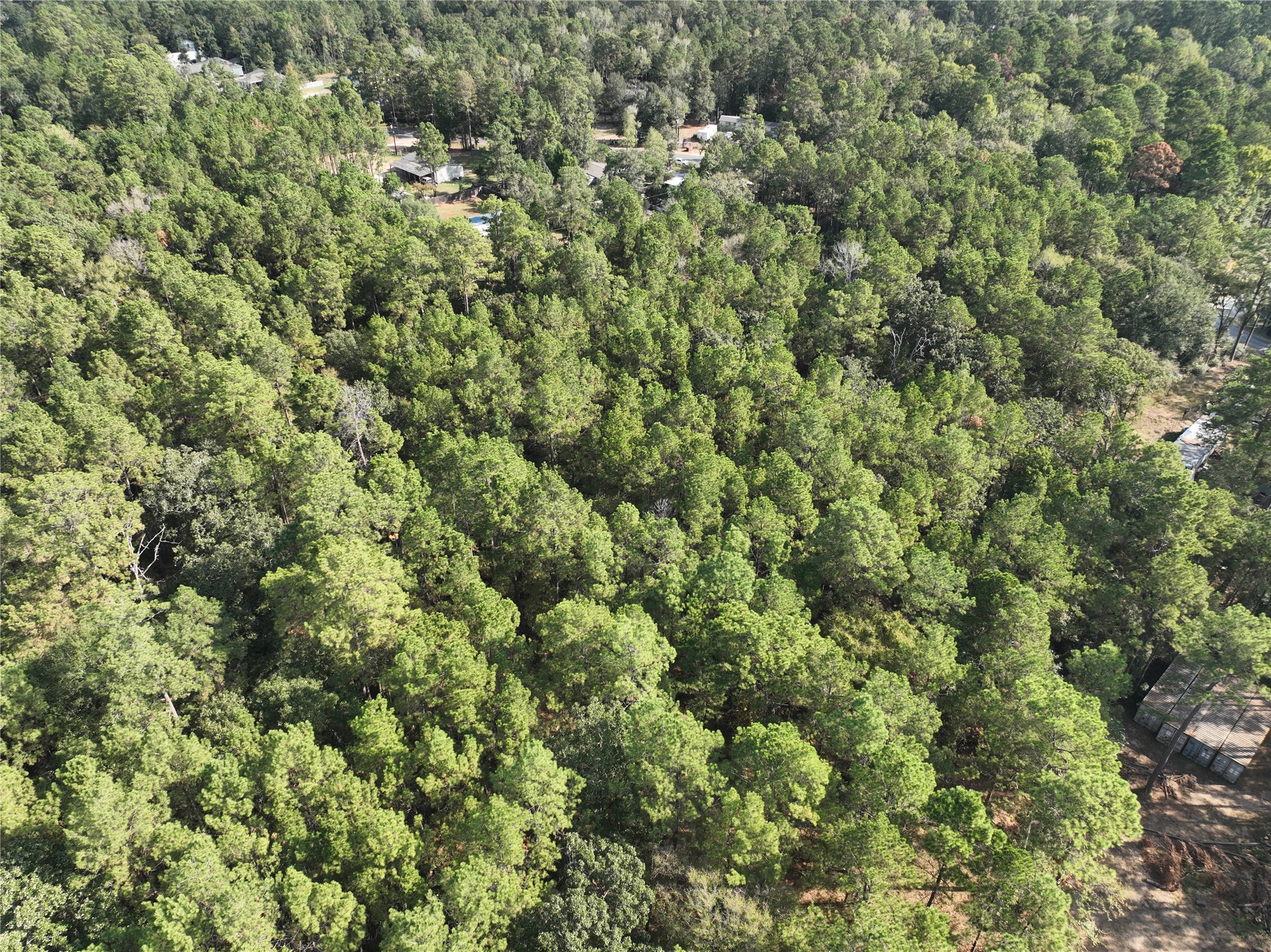 TBD Tallowood Drive