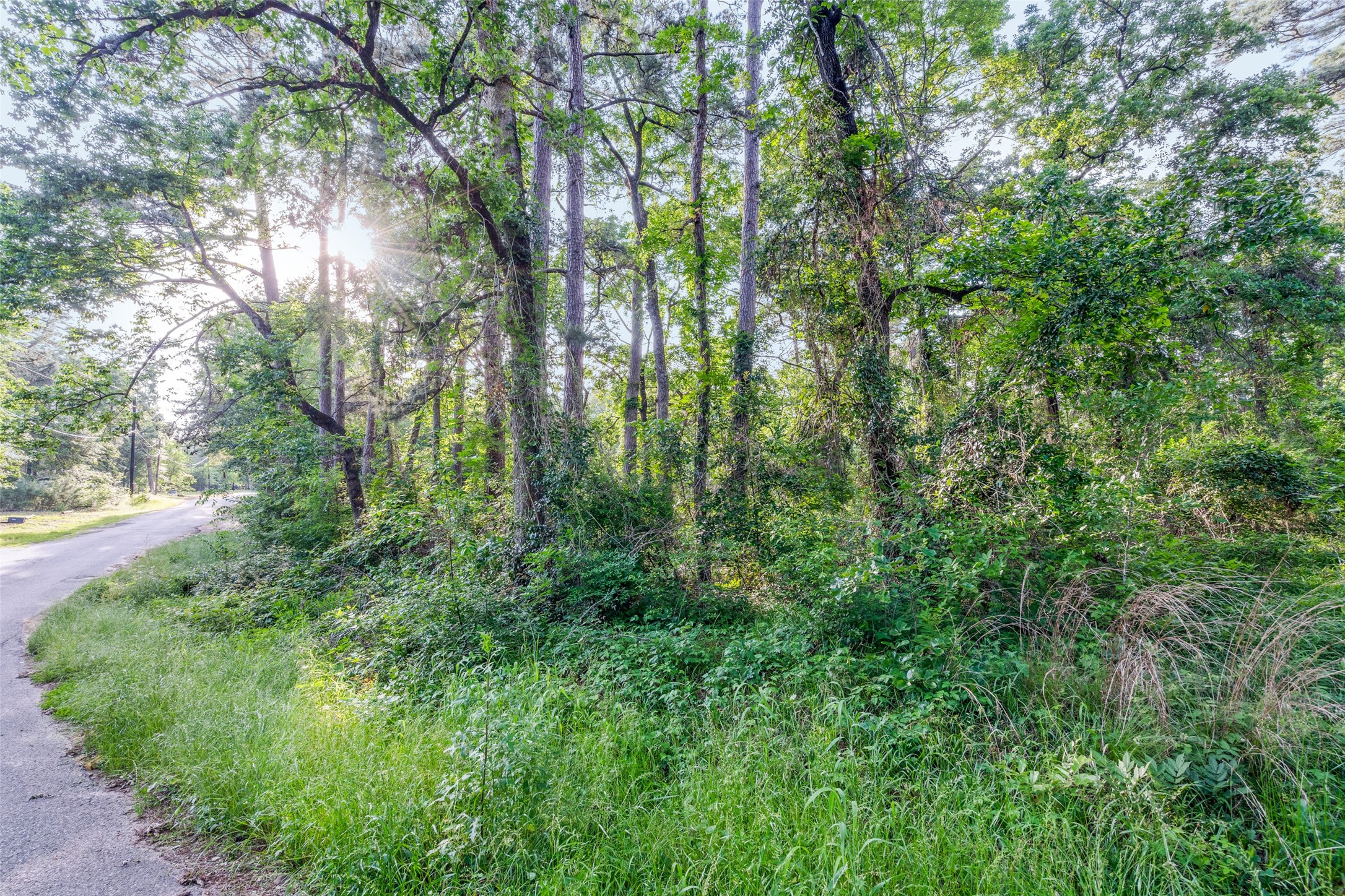 7631 Forest Hill Drive