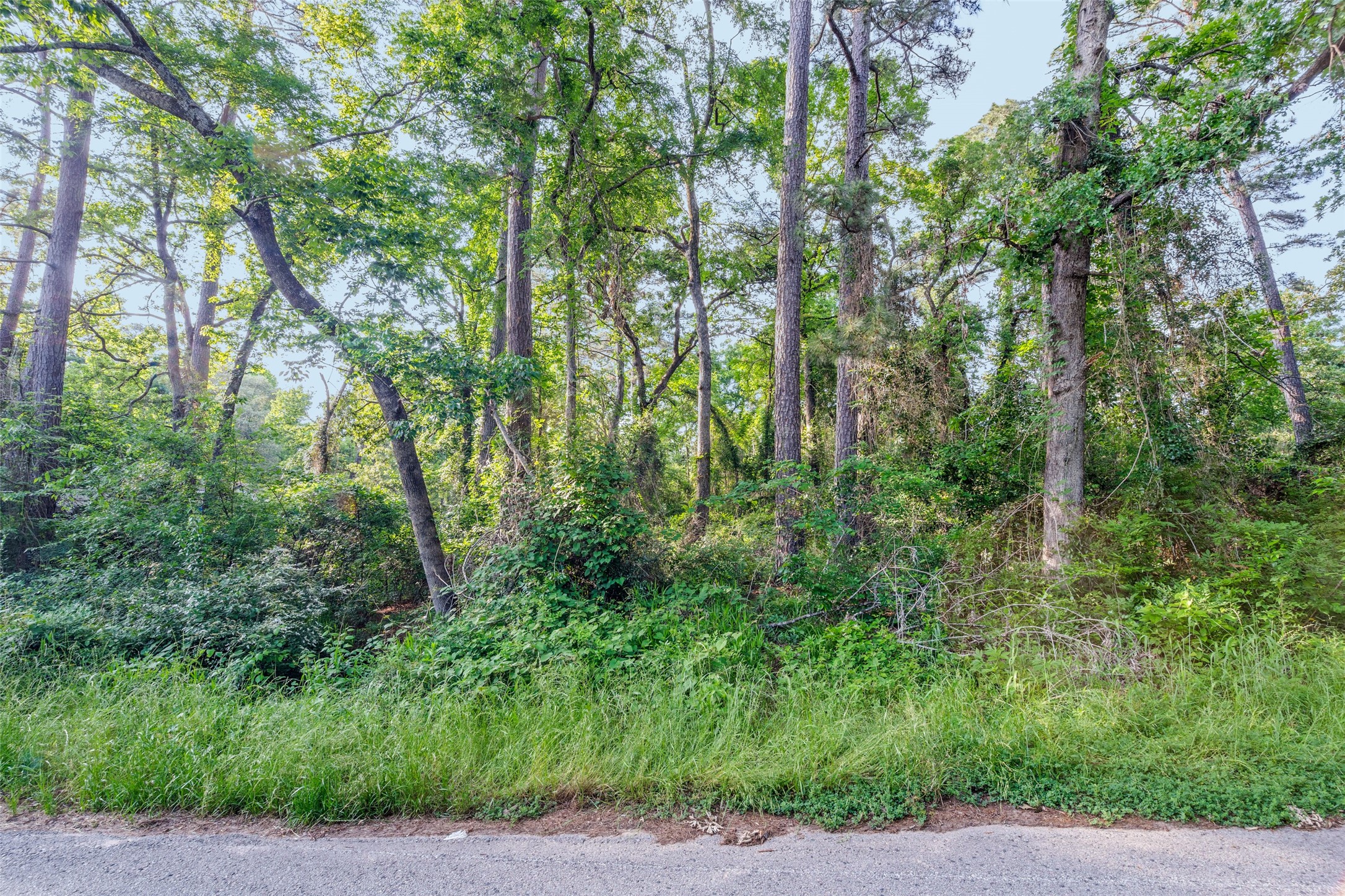 7631 Forest Hill Drive