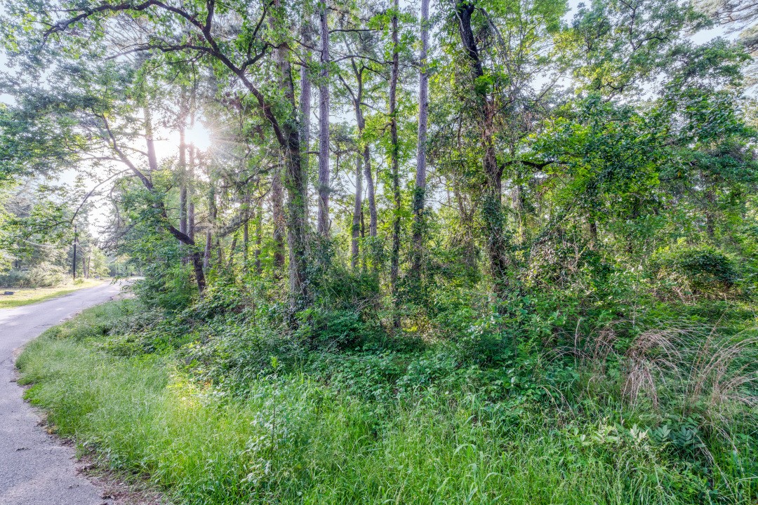 00 Forest Hill Drive