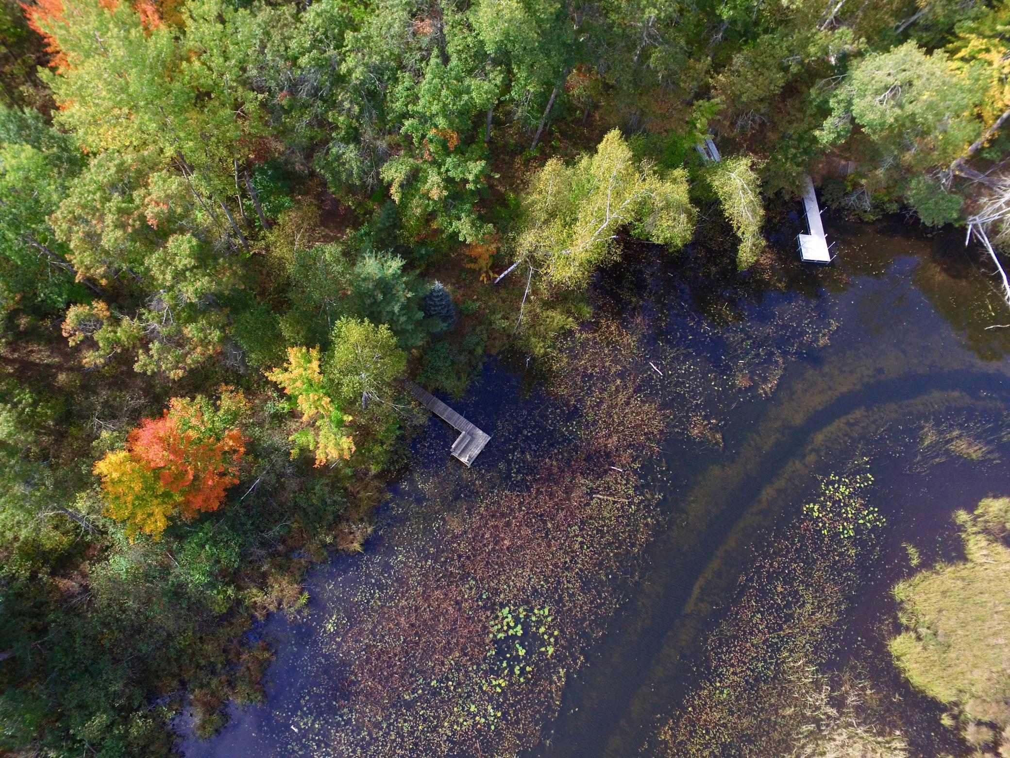 30199 W Burlingame Lake Road