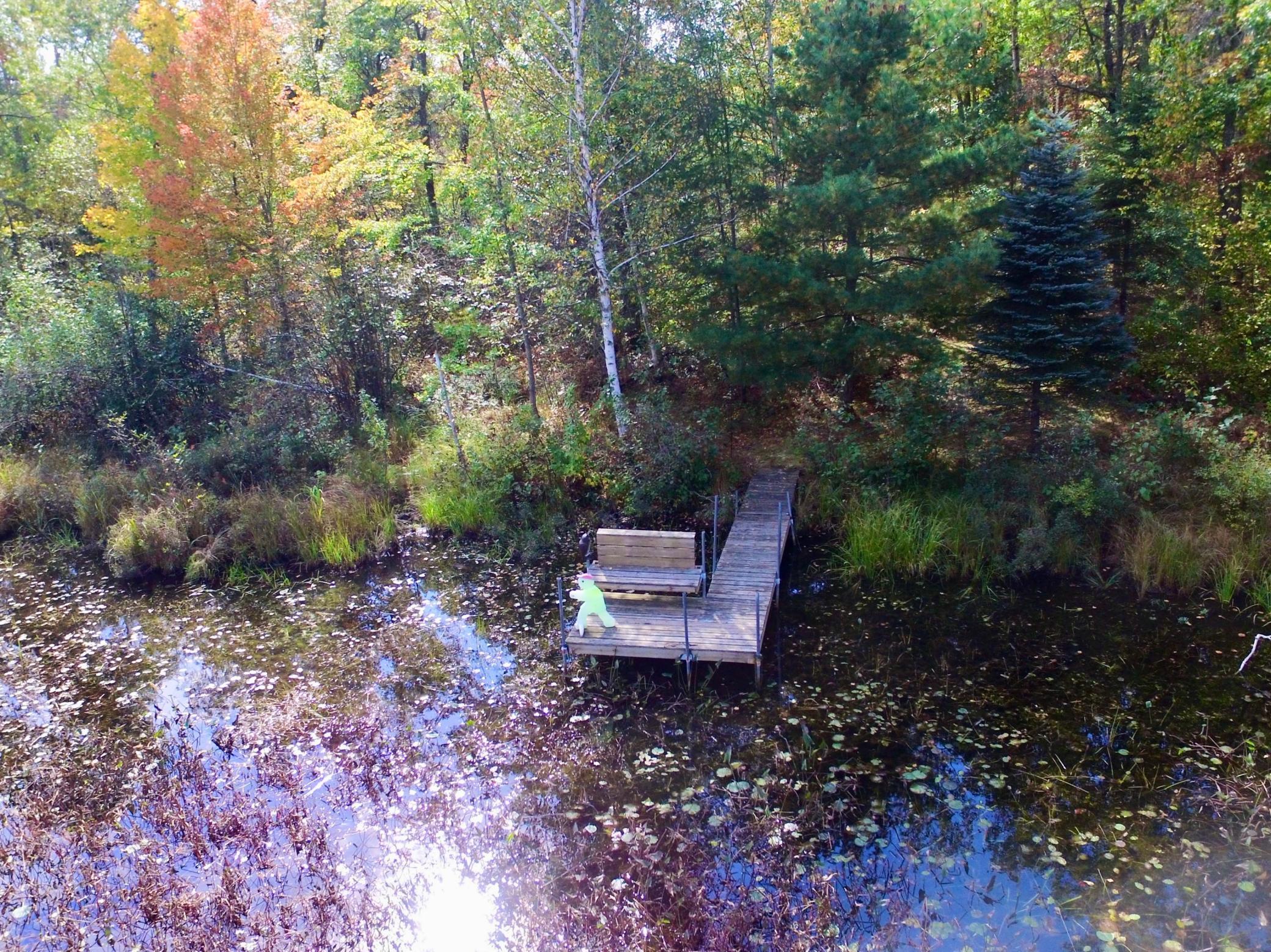 30199 W Burlingame Lake Road