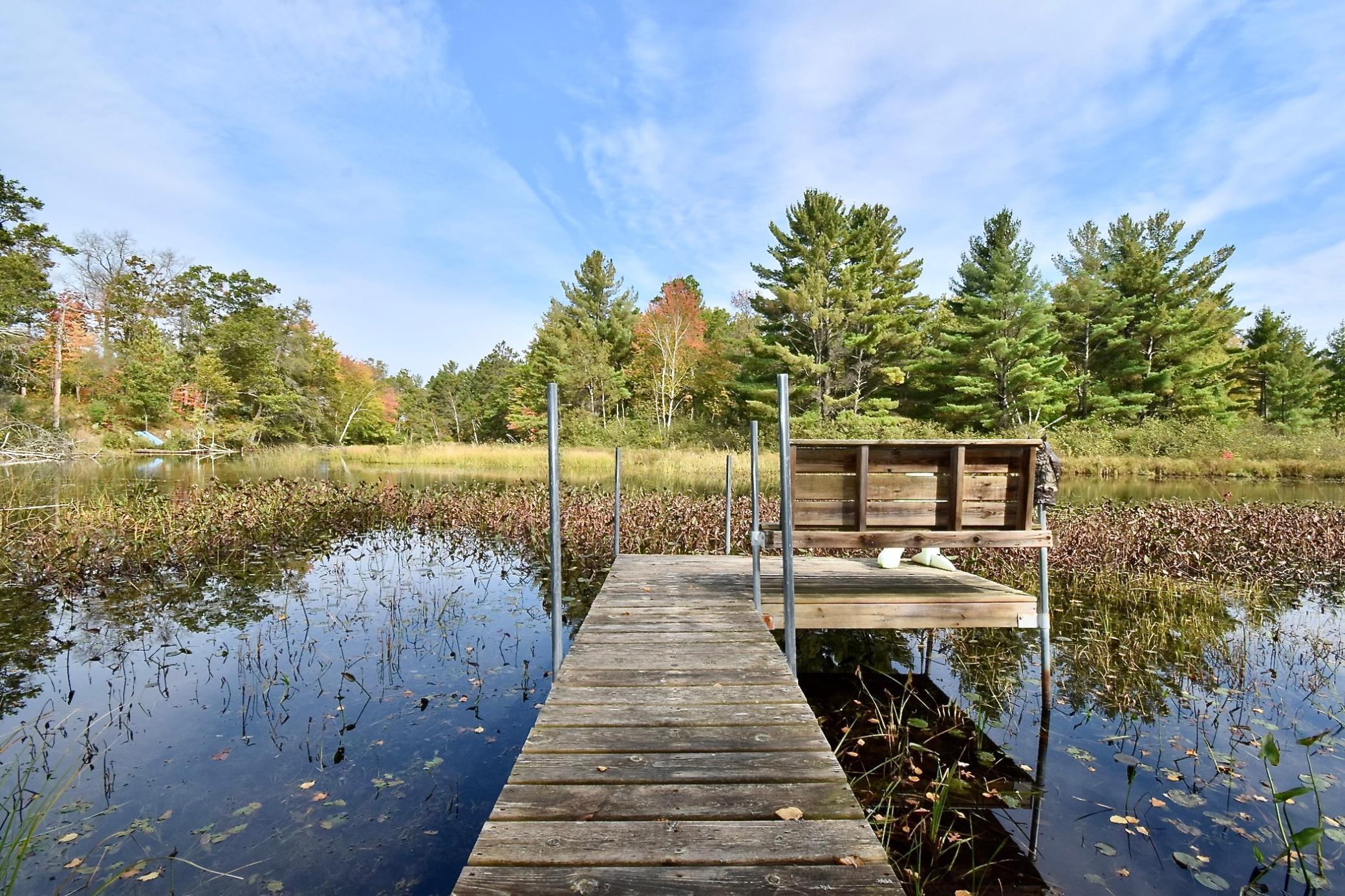 30199 W Burlingame Lake Road