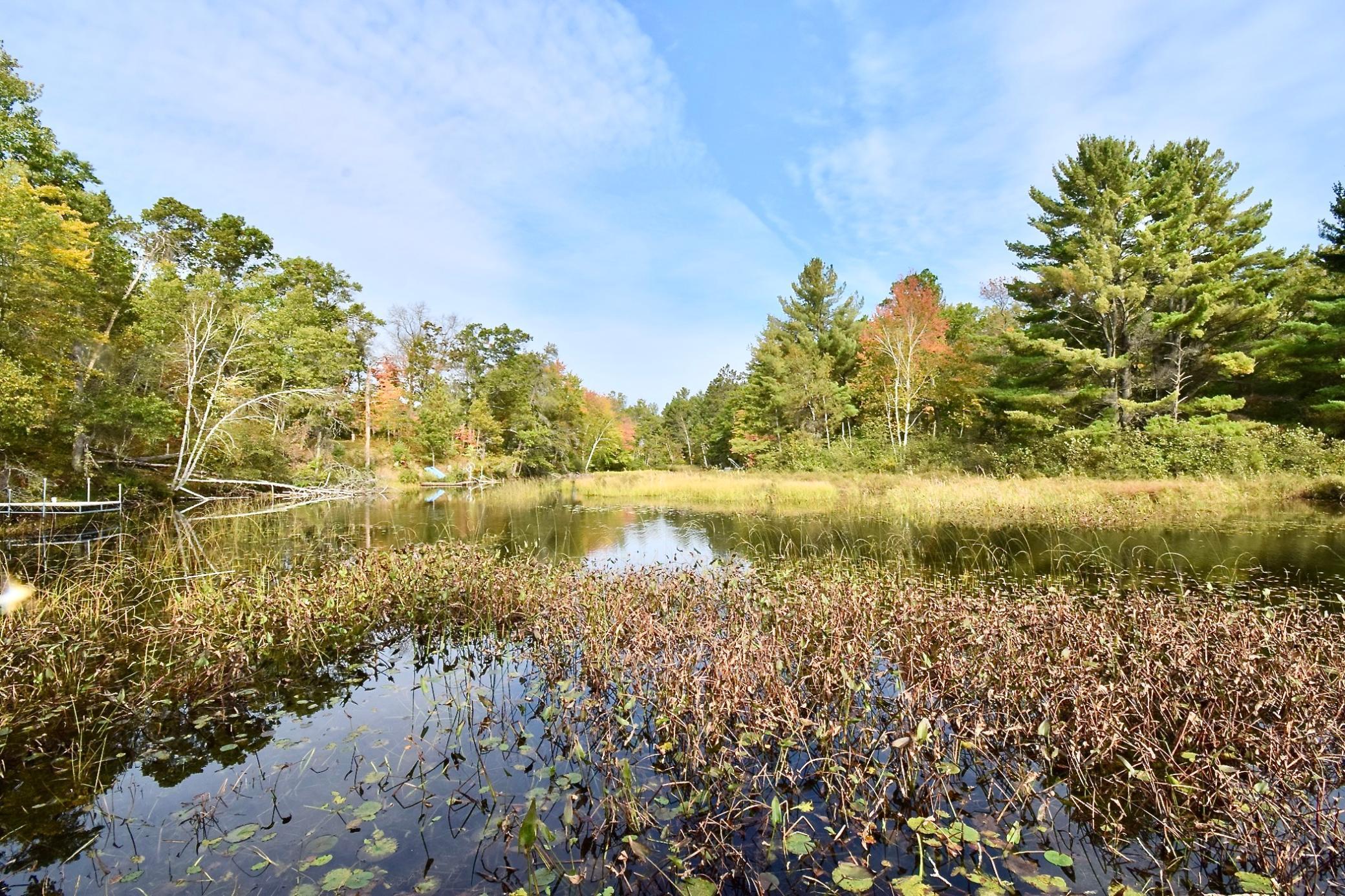 30199 W Burlingame Lake Road