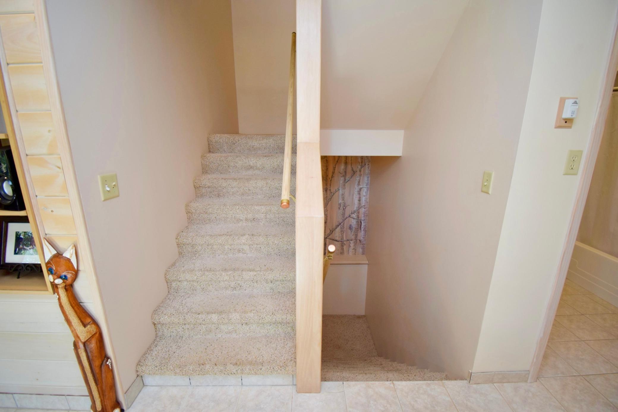 30199 W Burlingame Lake Road