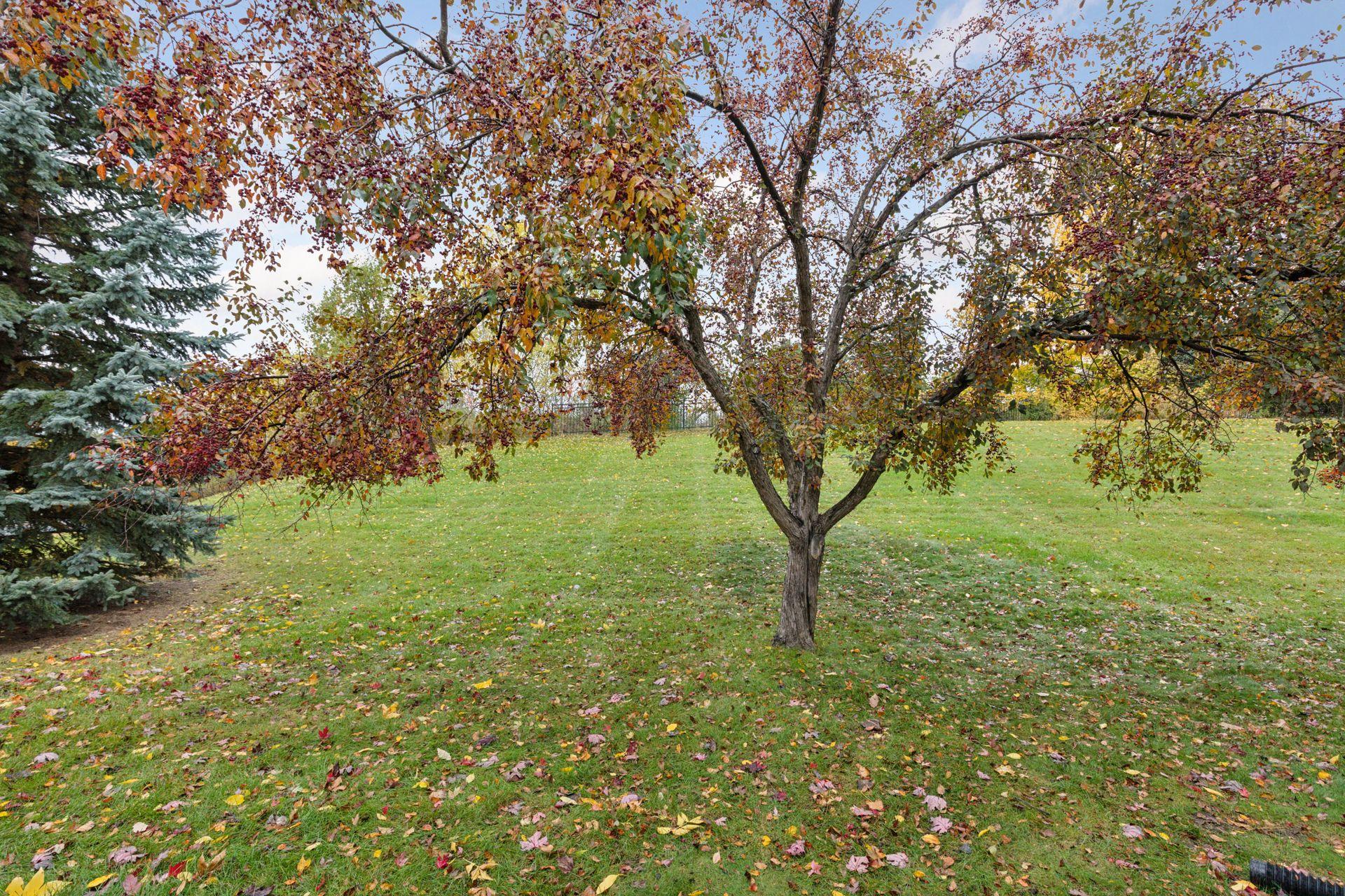 1617 Clemson Drive Unit: B