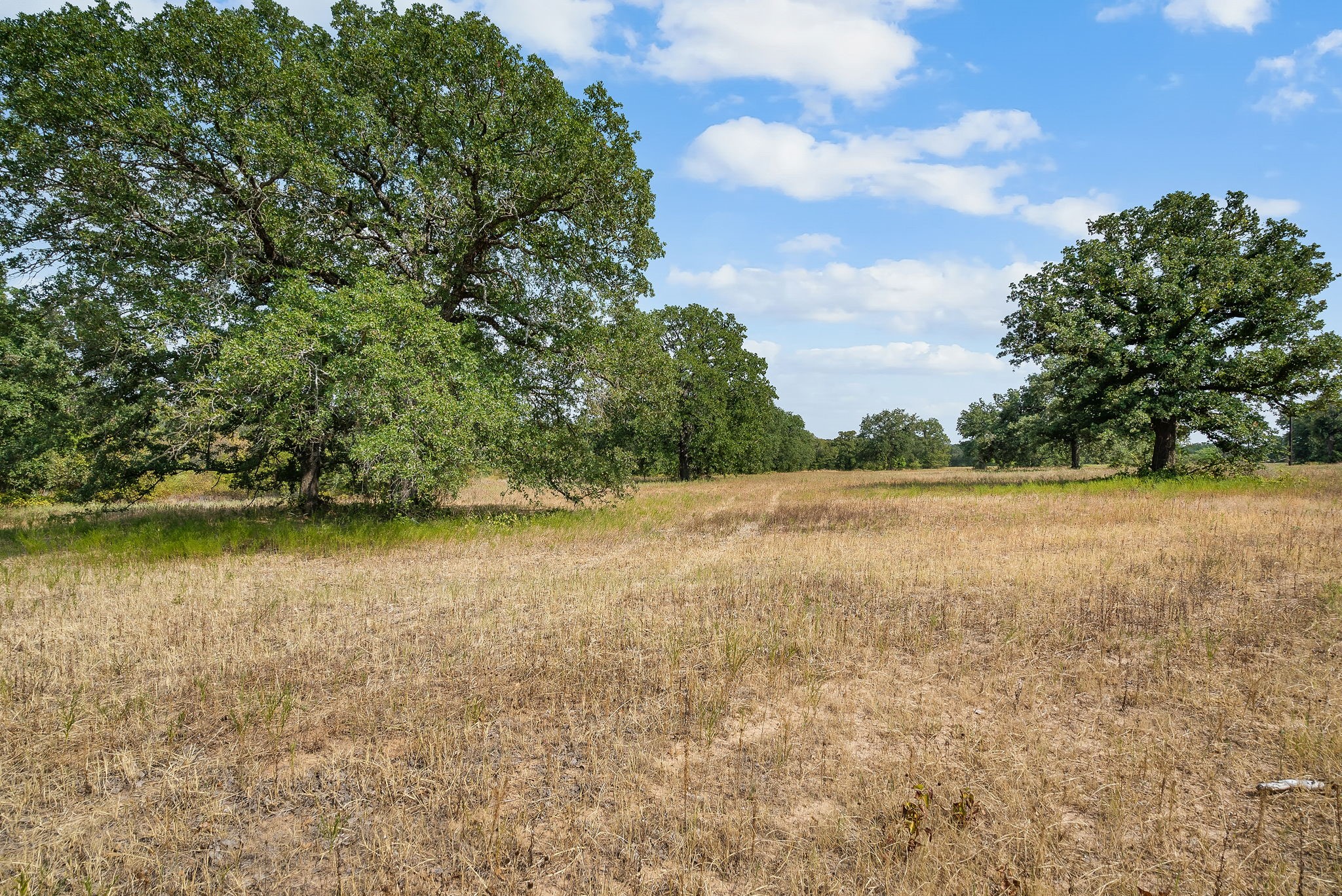 Lot 17 Double B Ranch Road S