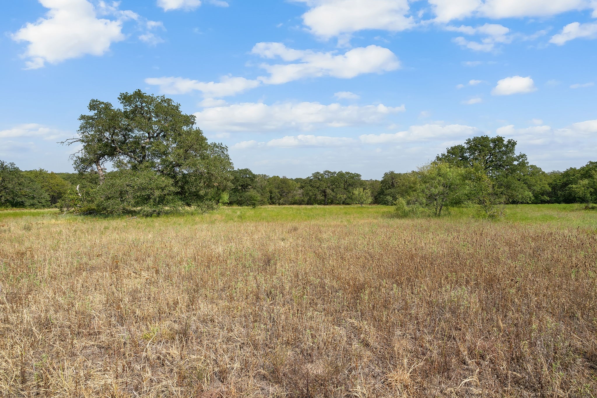 Lot 15 Double B Ranch Road S