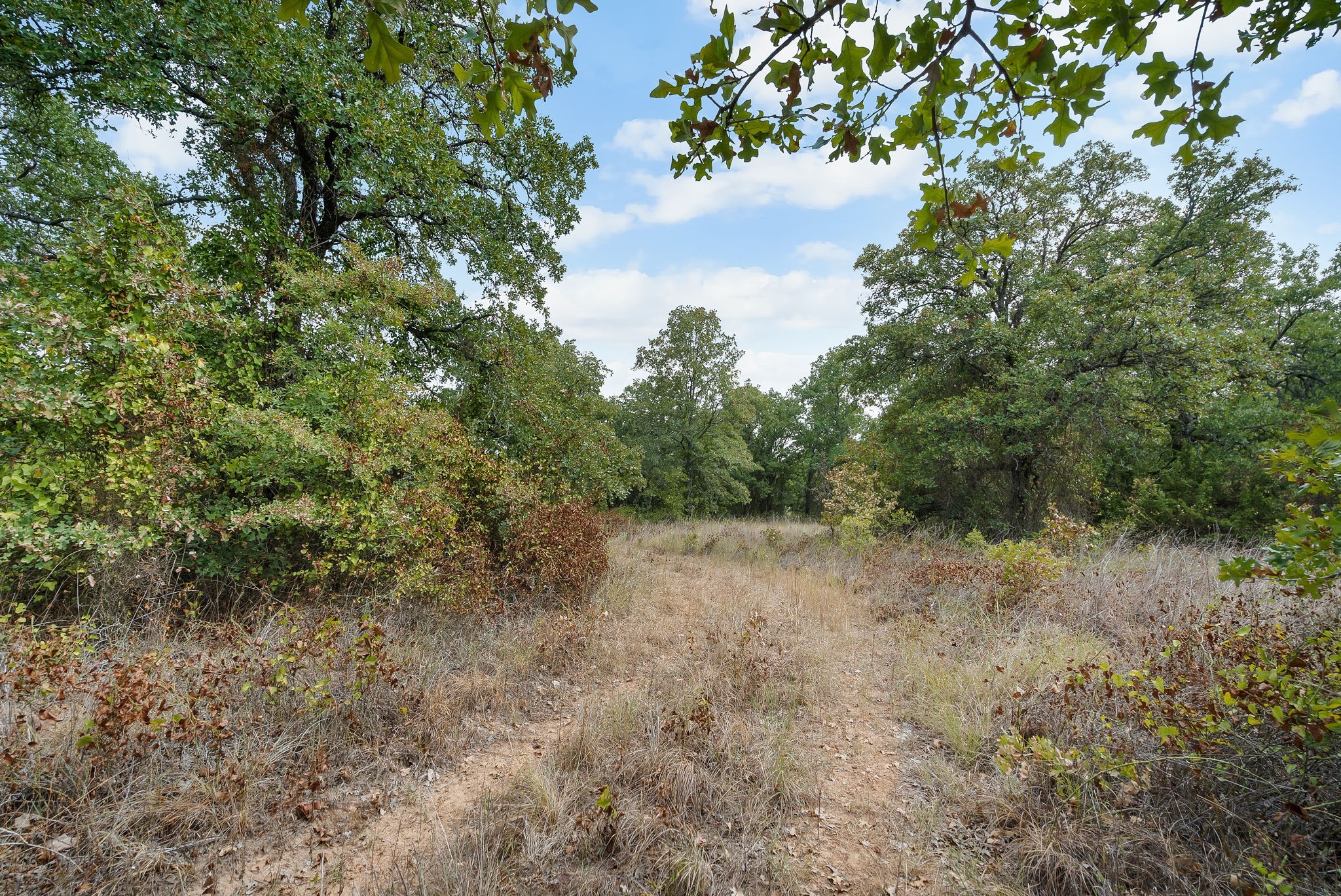 Lot 15 Double B Ranch Road S