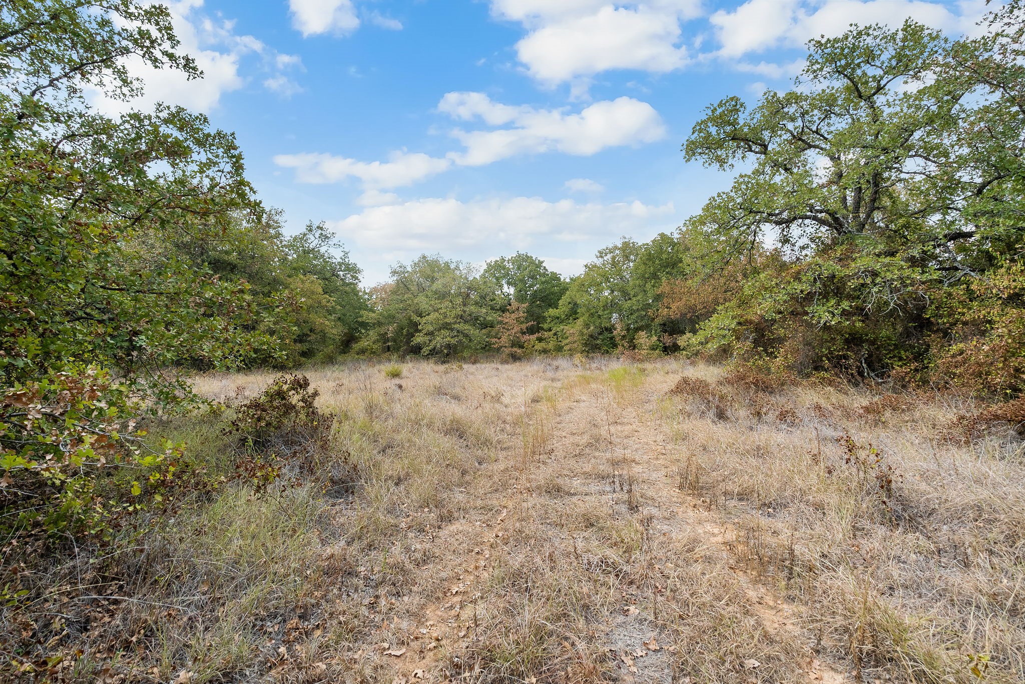 Lot 5 Double B Ranch Road N
