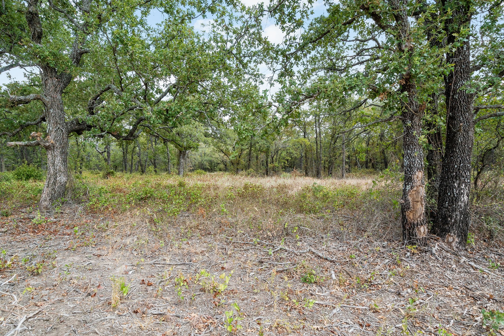 Lot 5 Double B Ranch Road N