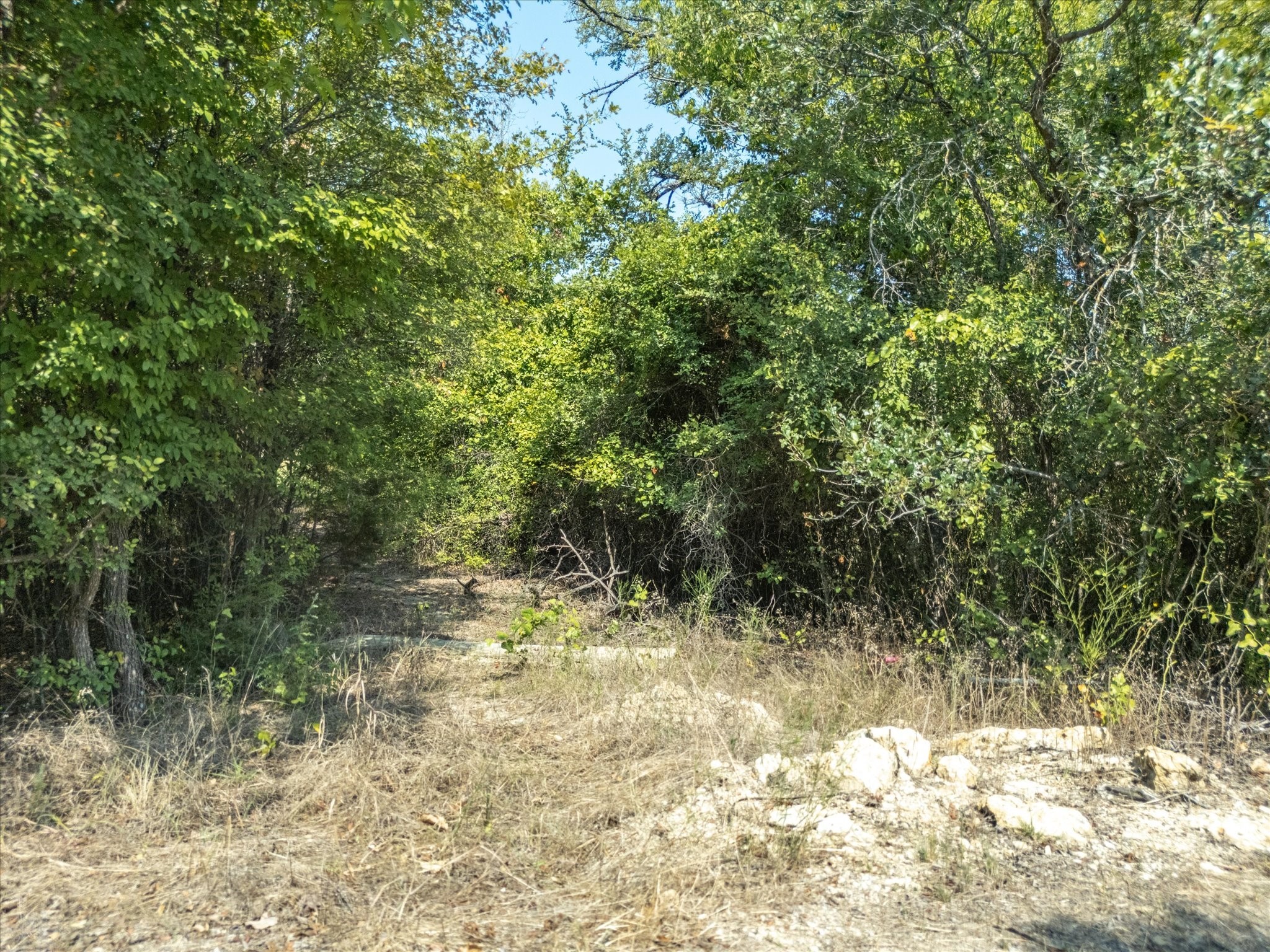 TBD Northview Road