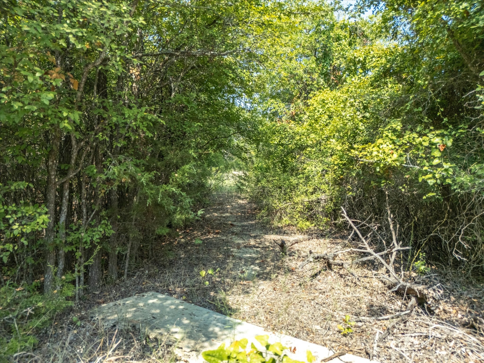 TBD Northview Road