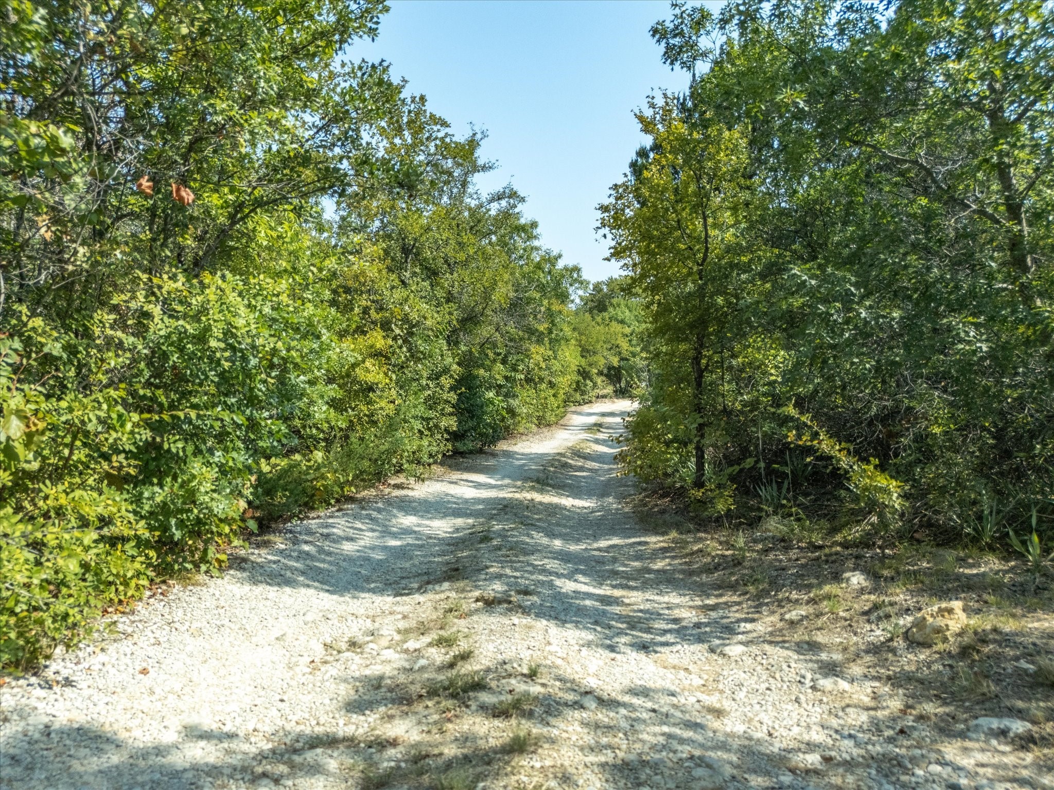 TBD Northview Road