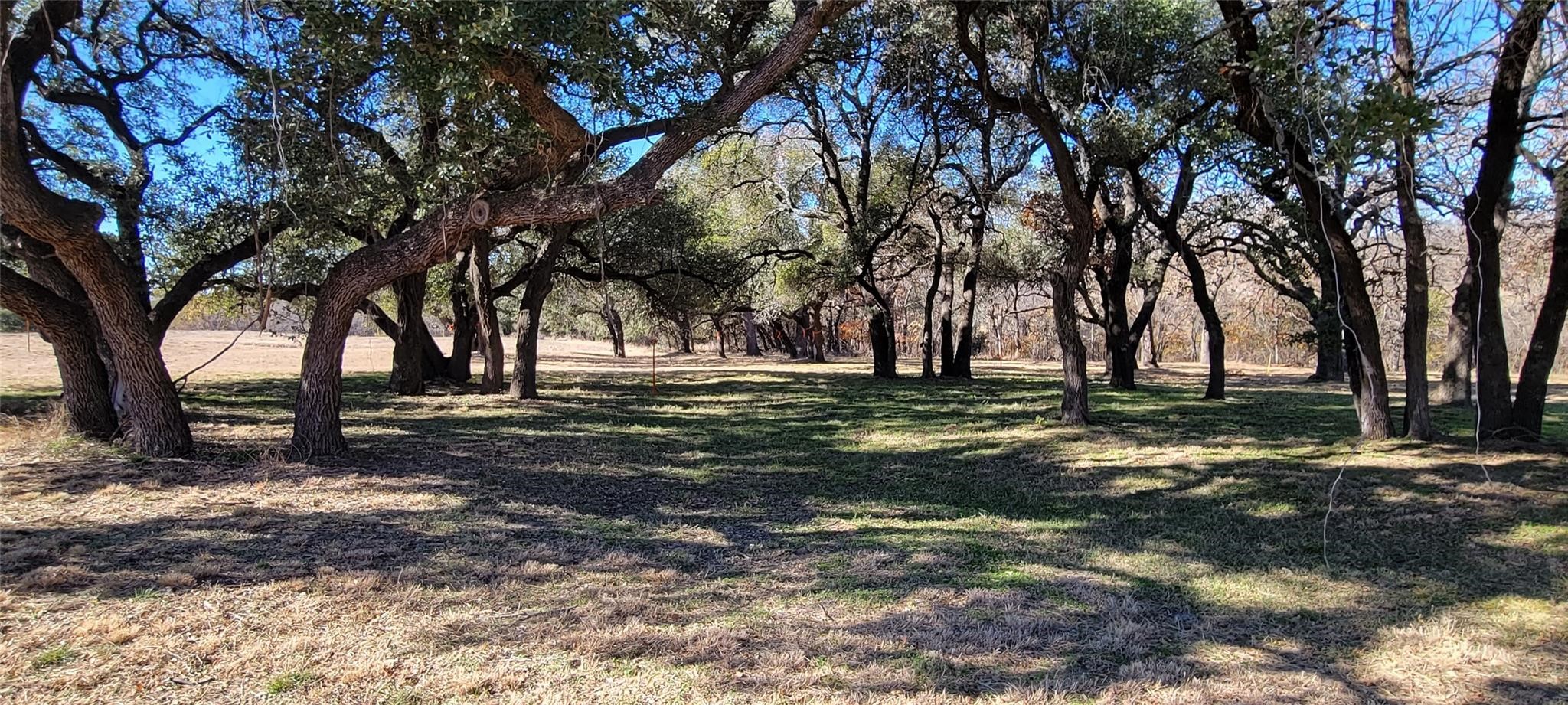 245 Bishop Drive
