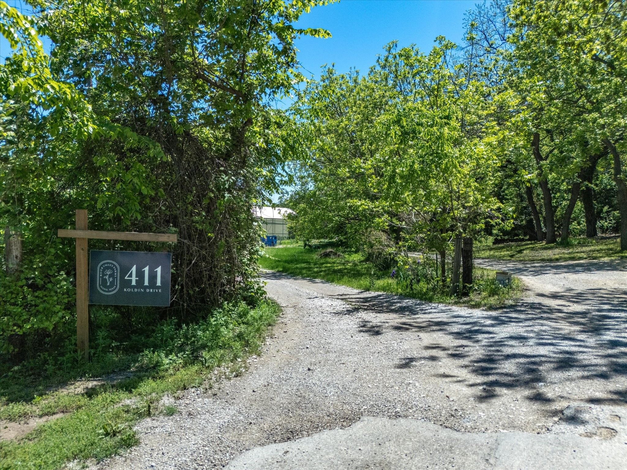 411 Koldin Drive