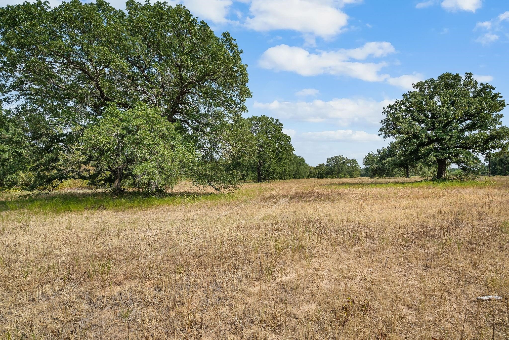 Lot 16 Double B Ranch Road S